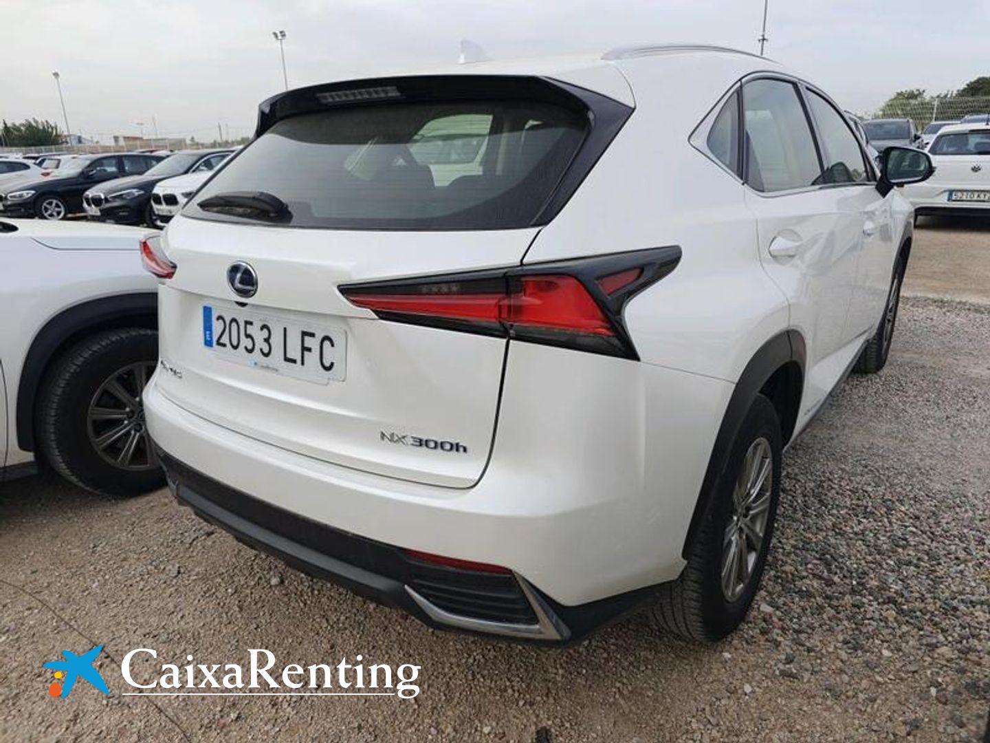 Lexus NX NX 300h