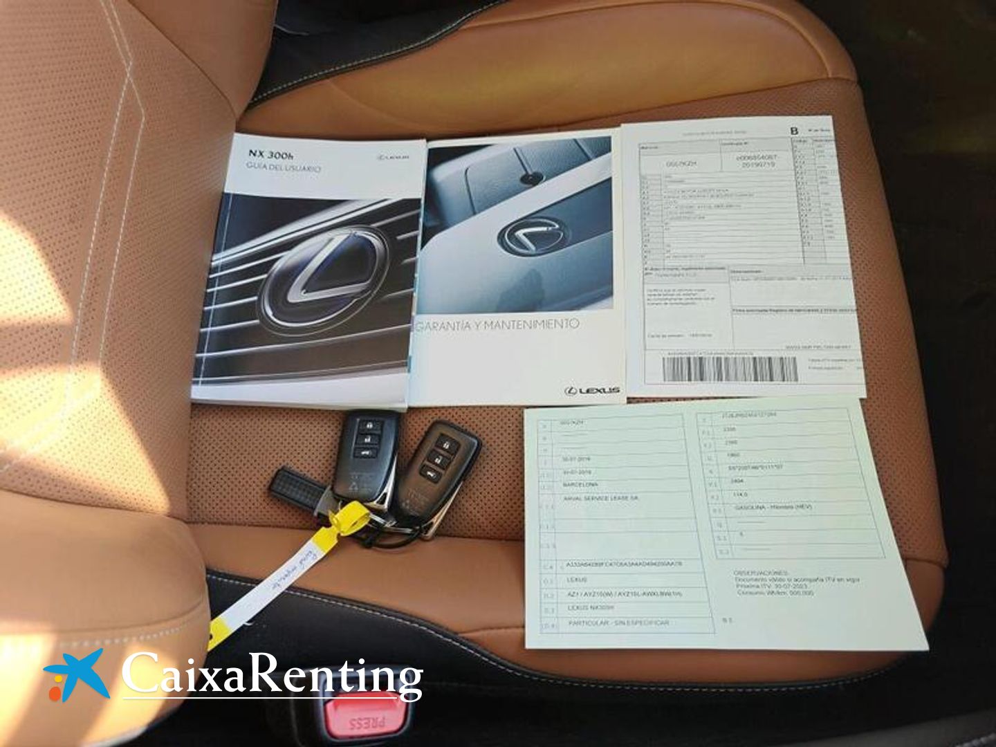 Lexus NX NX 300h Executive Navigation