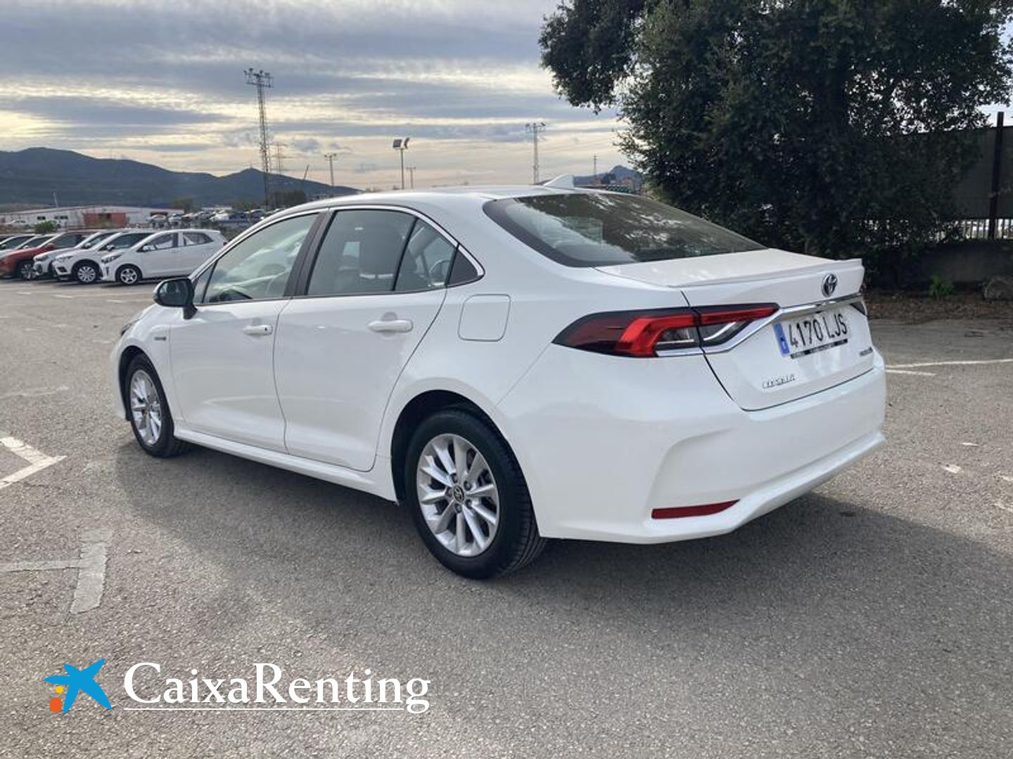 Toyota Corolla 1.8 125 Híbrido Business Plus