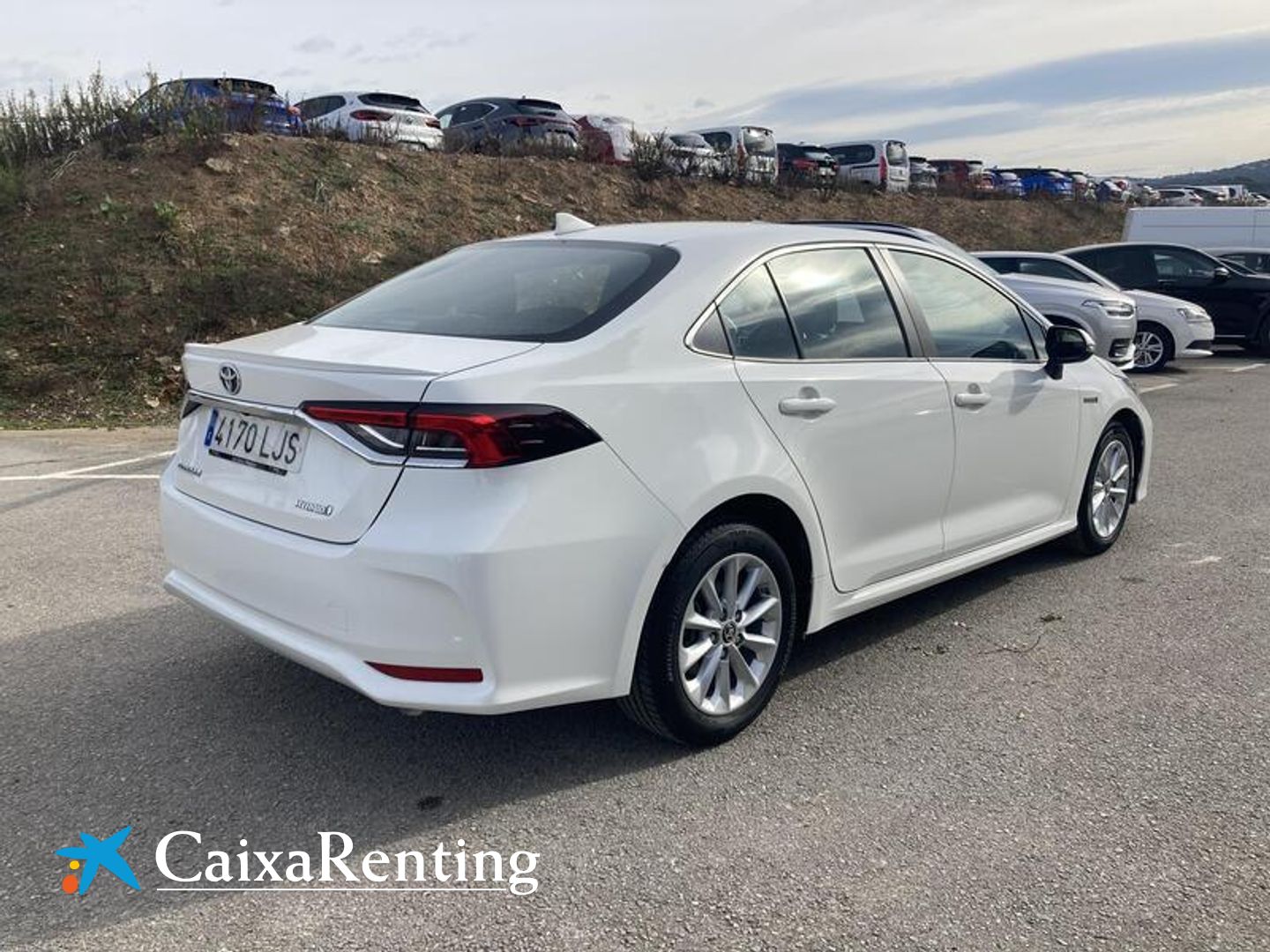 Toyota Corolla 1.8 125 Híbrido Business Plus