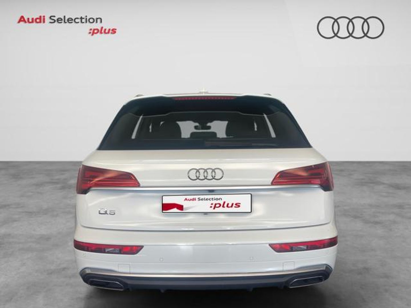 Audi Q5 S line 35 TDI 120 kW (163 CV) S tronic