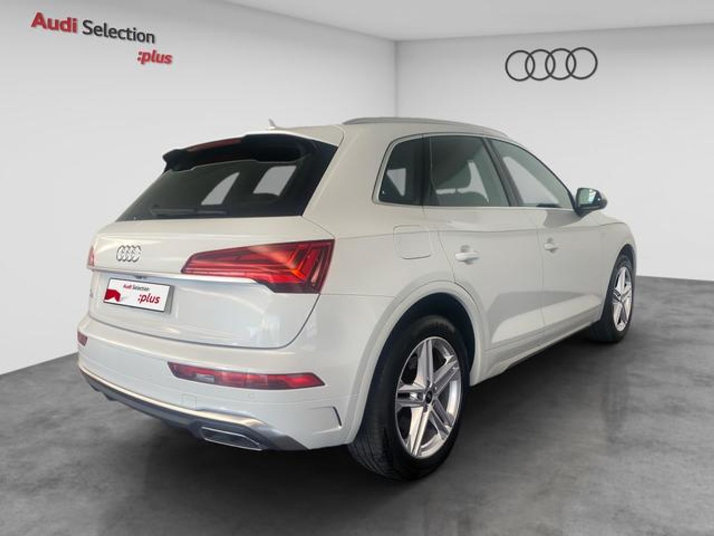 Audi Q5 S line 35 TDI 120 kW (163 CV) S tronic
