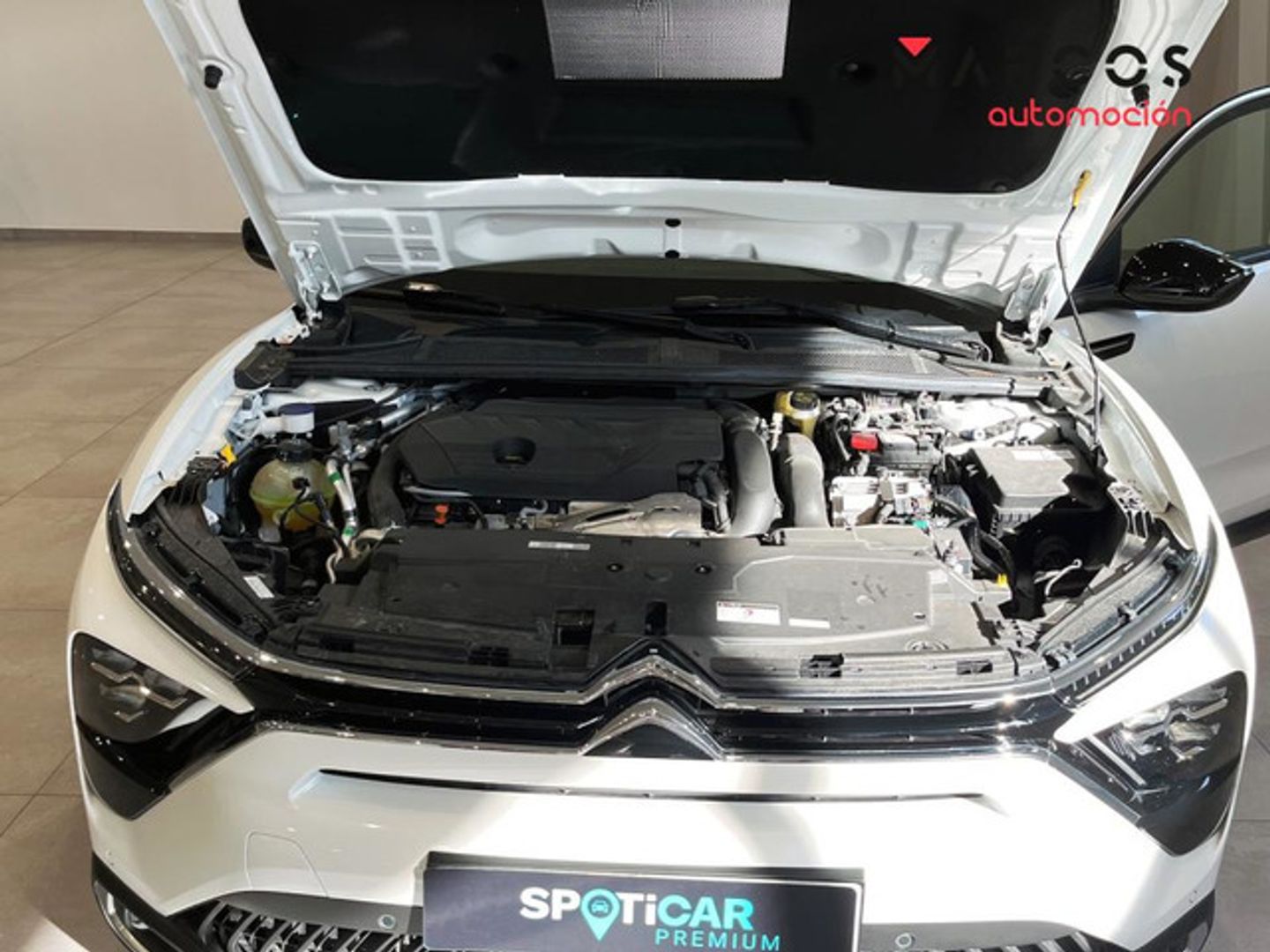 Citroen C5 X Hybrid 225 Feel Pack e-EAT8 165 kW (225 CV)