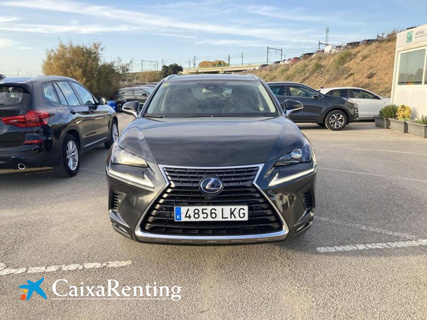 Lexus NX NX 300h