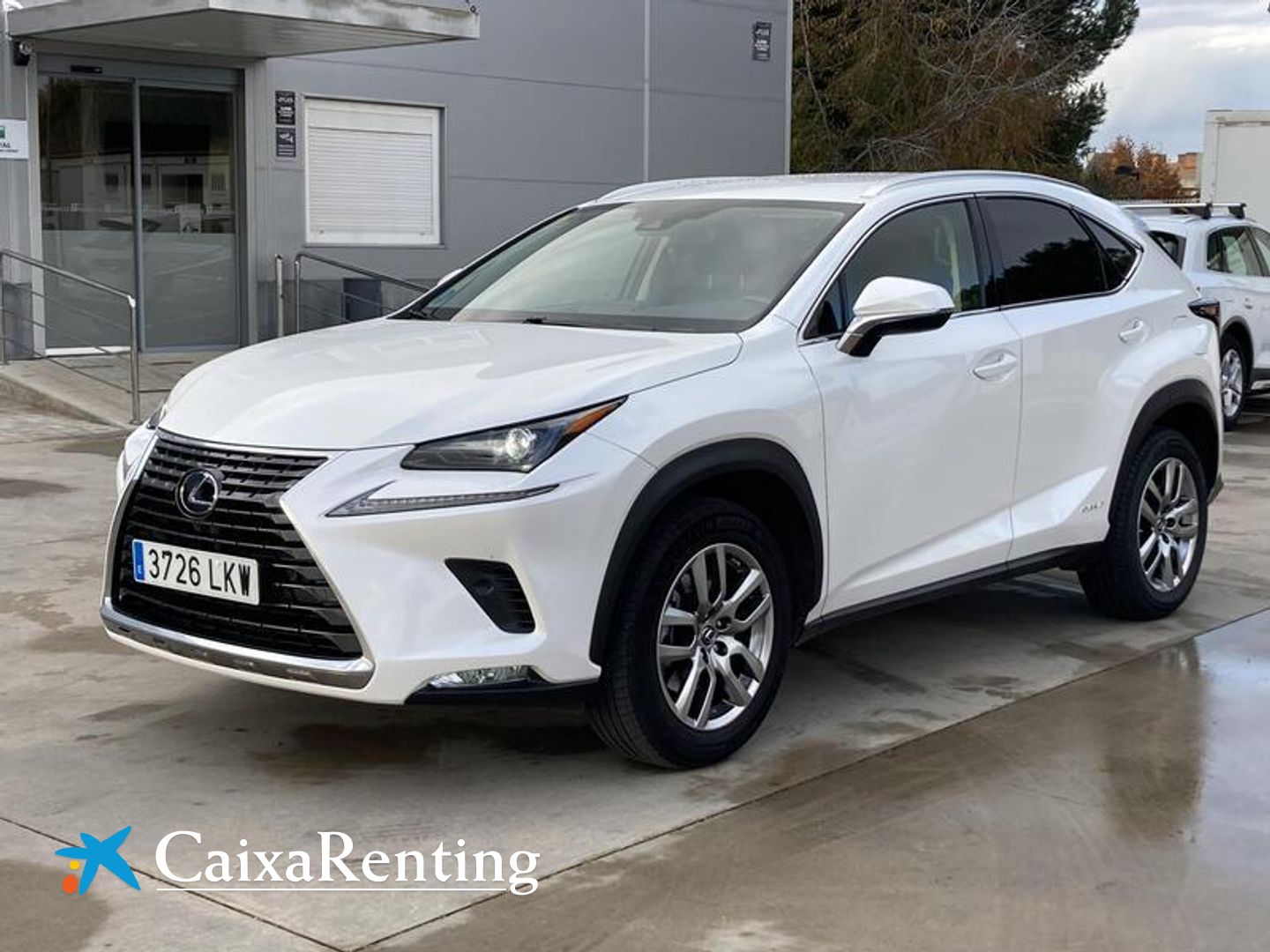 Lexus NX NX 300h Blanco All Terrain / Pick-up