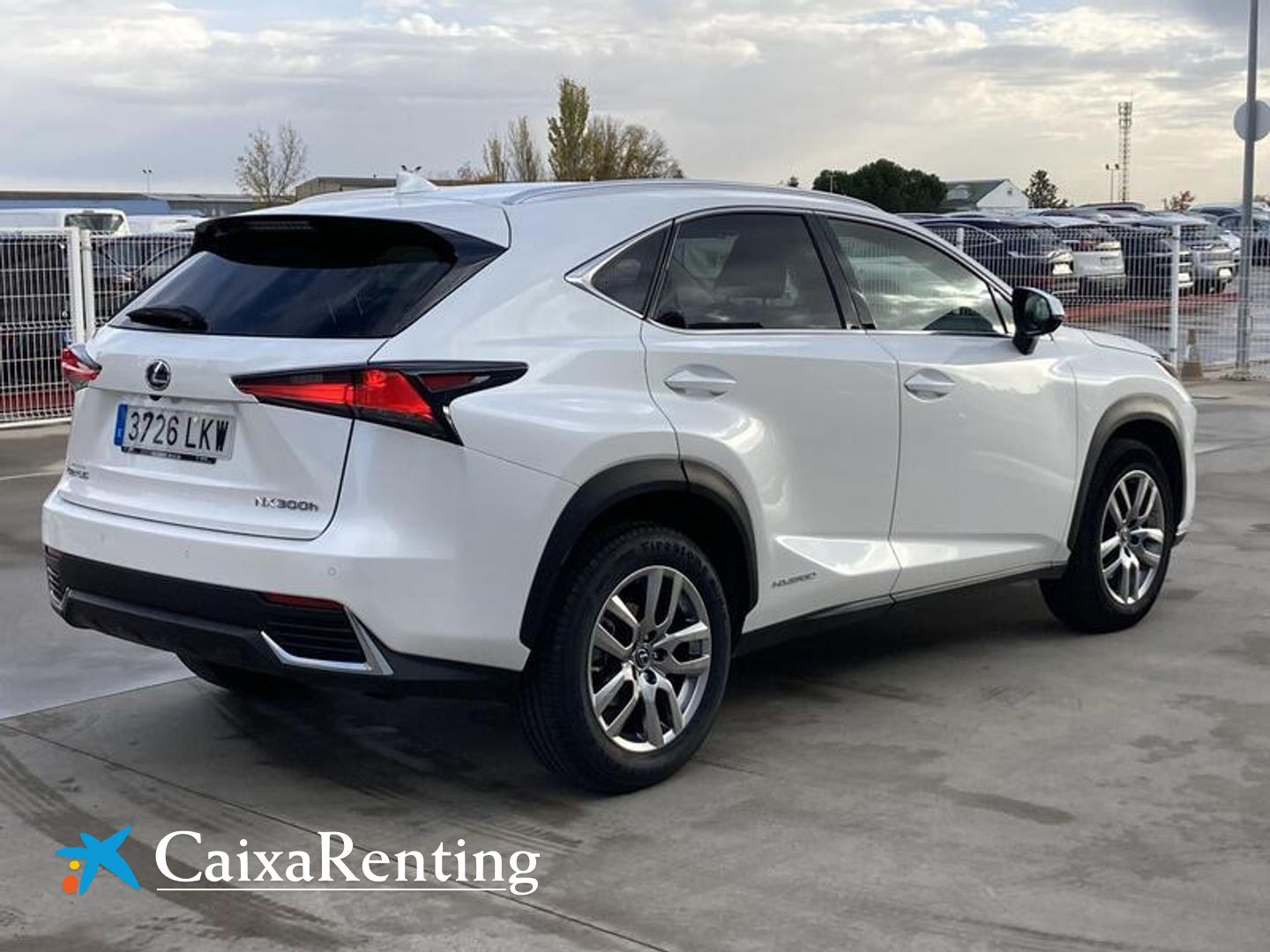 Lexus NX NX 300h