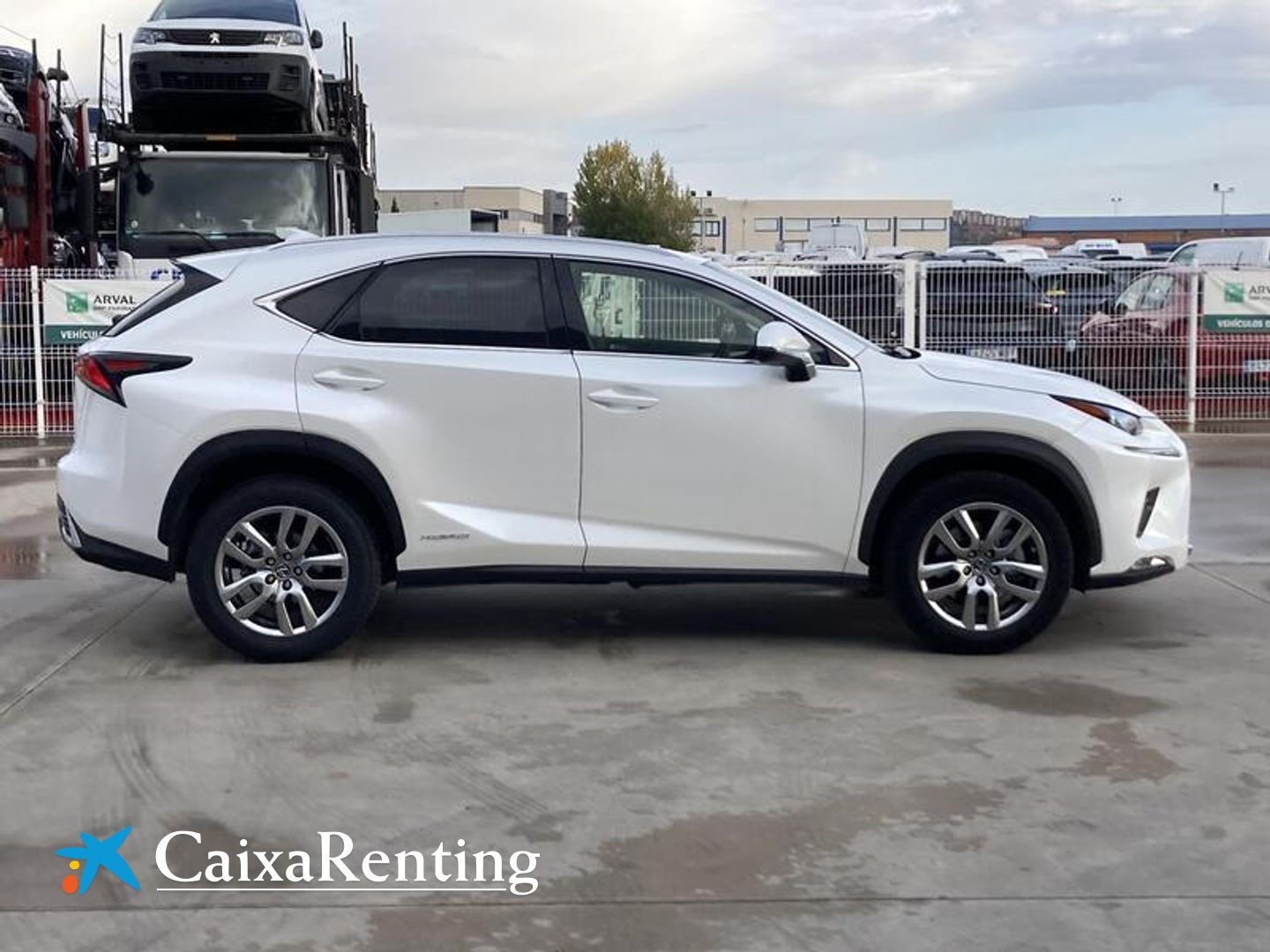 Lexus NX NX 300h