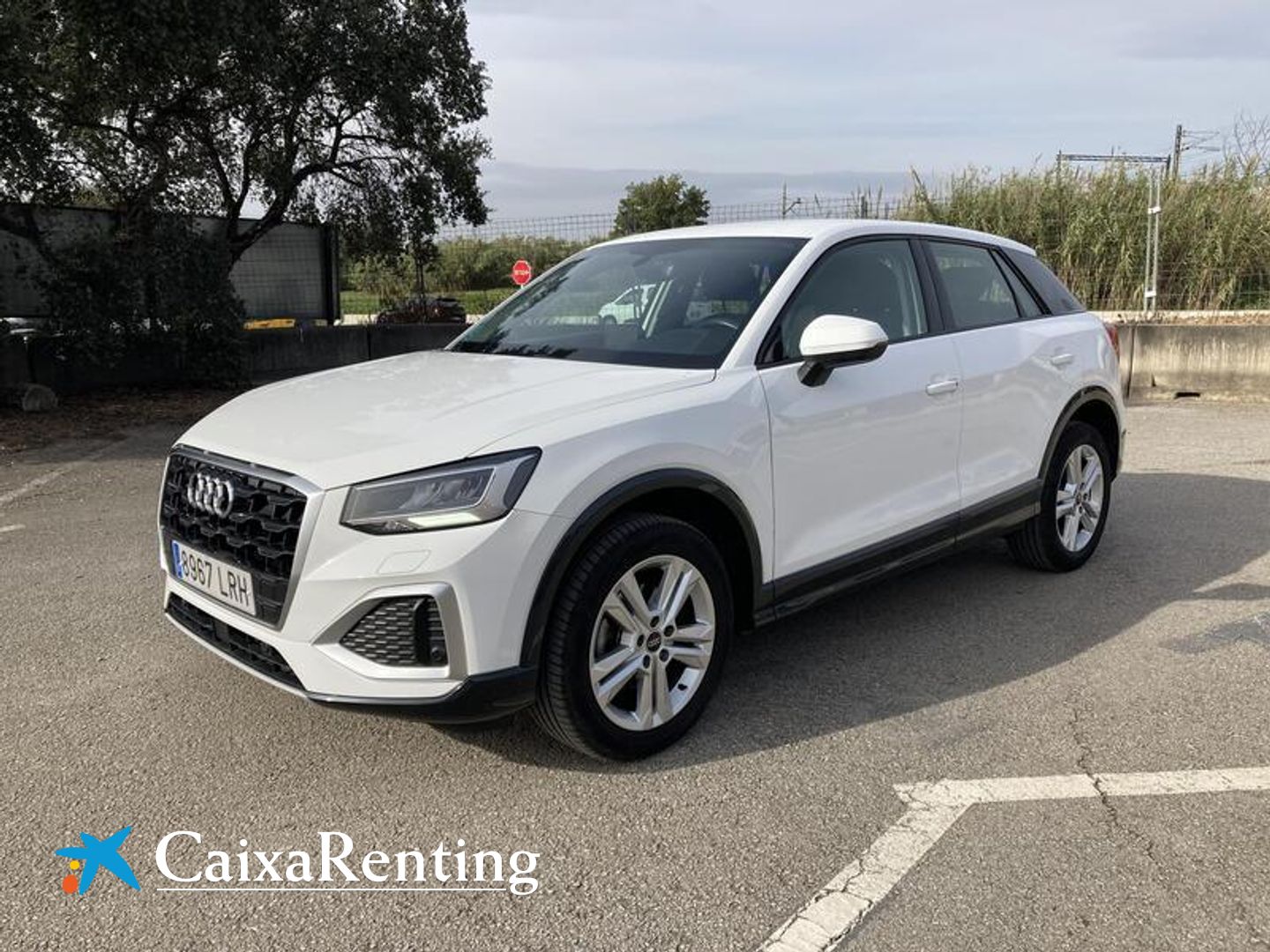 Audi Q2 35 TFSI Advanced Blanco SUV