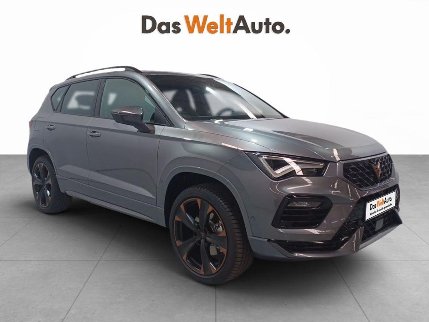 Cupra Ateca 2.0 TSI - Gris SUV