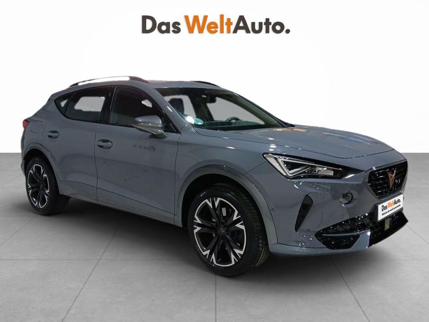 Cupra Formentor 1.5 TSI - Gris SUV