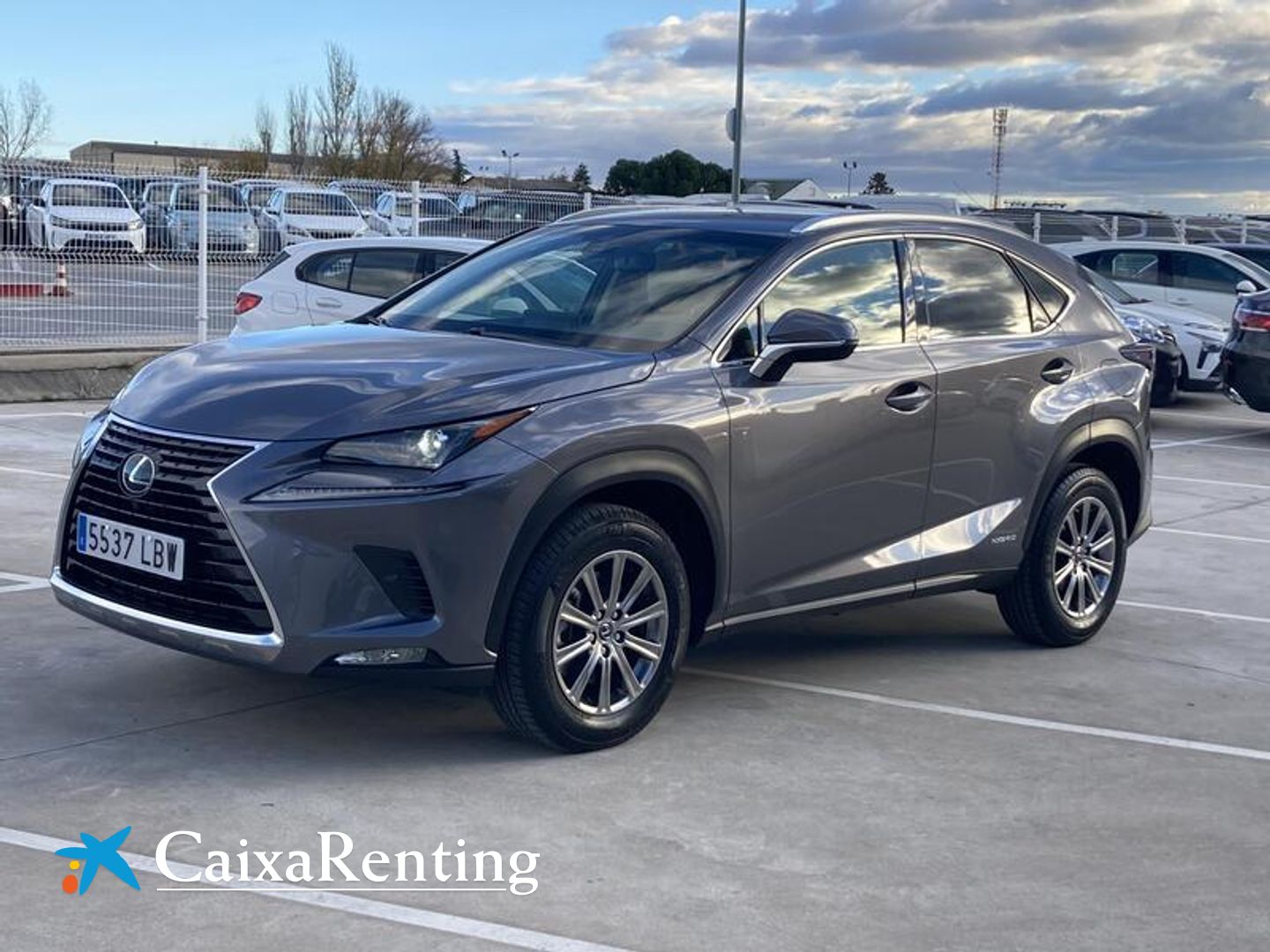 Lexus NX NX 300h Gris SUV