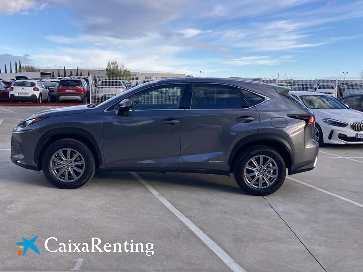 Lexus NX NX 300h