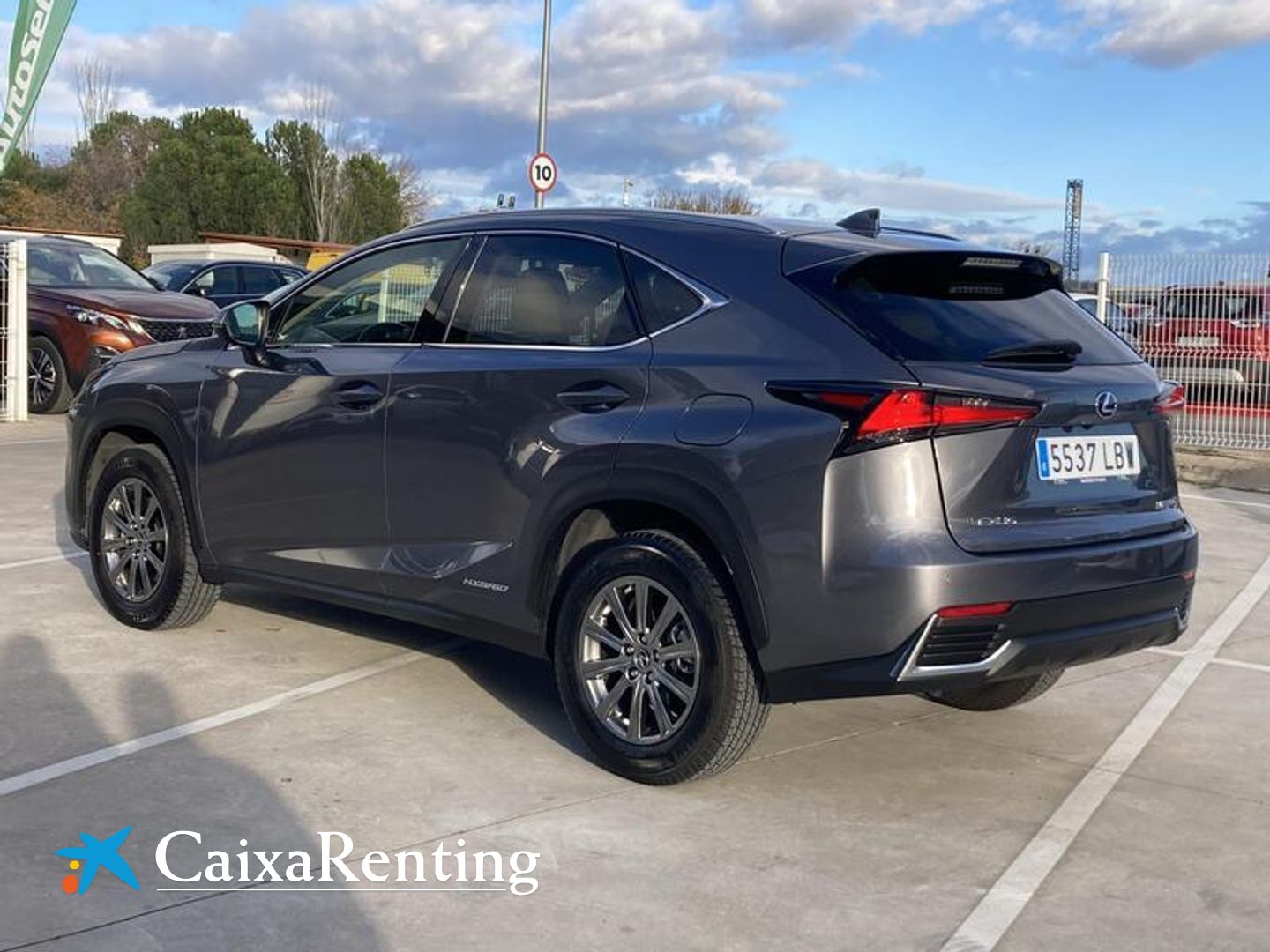 Lexus NX NX 300h