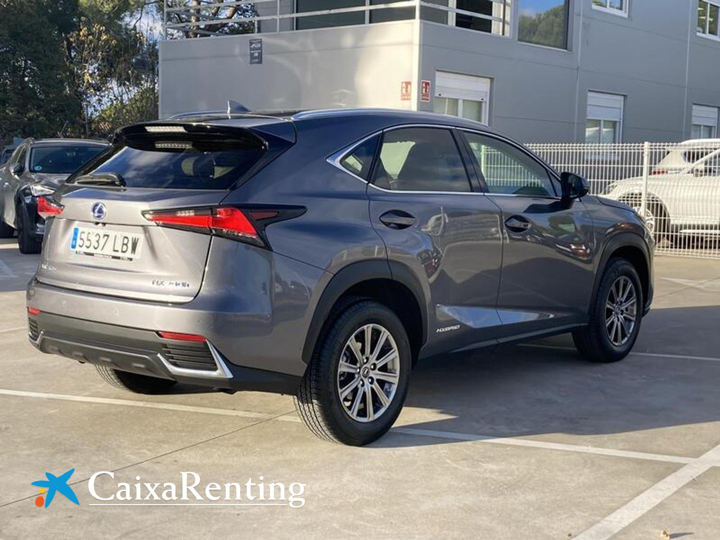 Lexus NX NX 300h