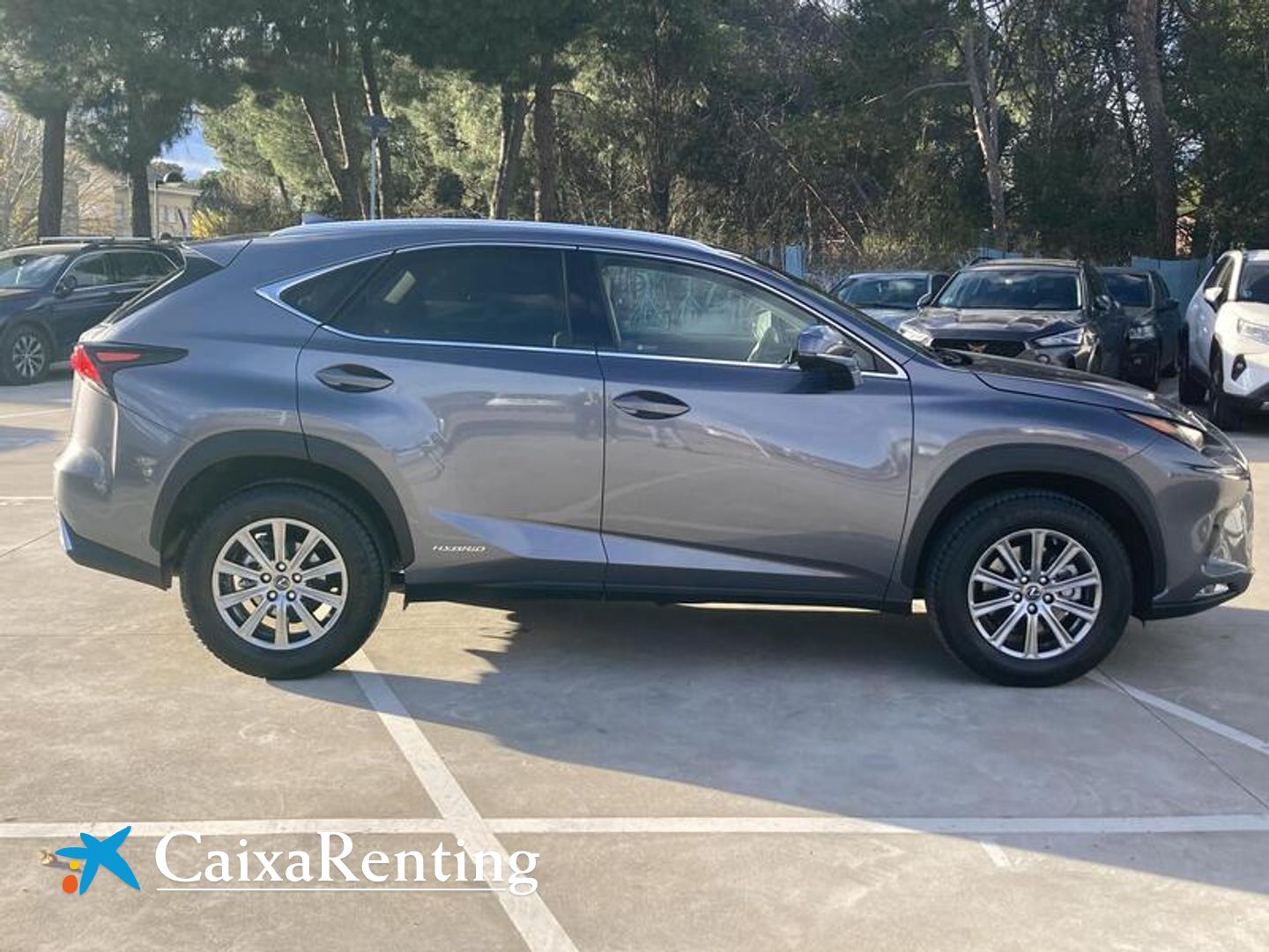 Lexus NX NX 300h