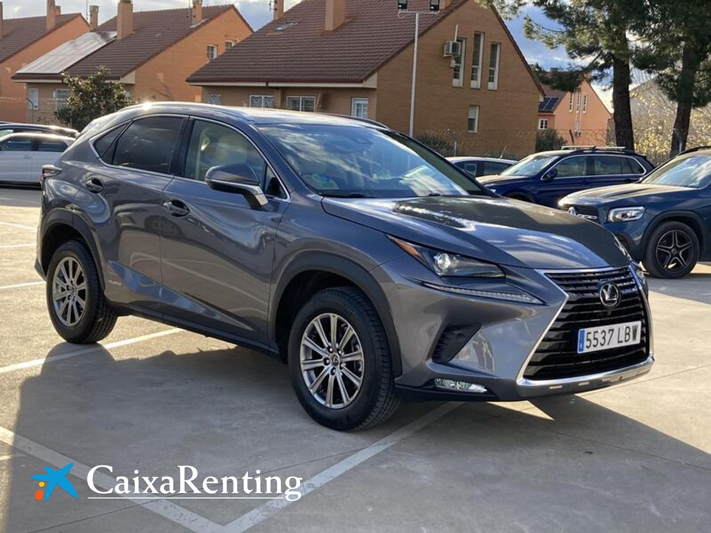 Lexus NX NX 300h