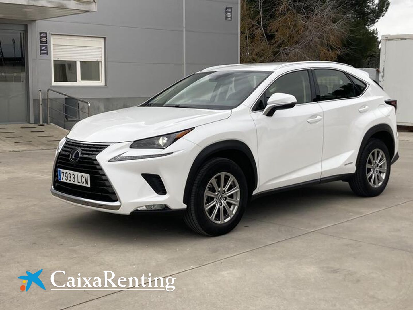 Lexus NX NX 300h Blanco SUV