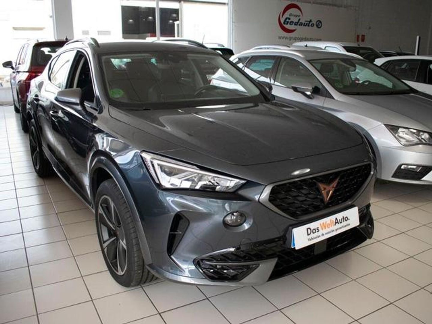 Cupra Formentor 1.5 TSI - Gris SUV