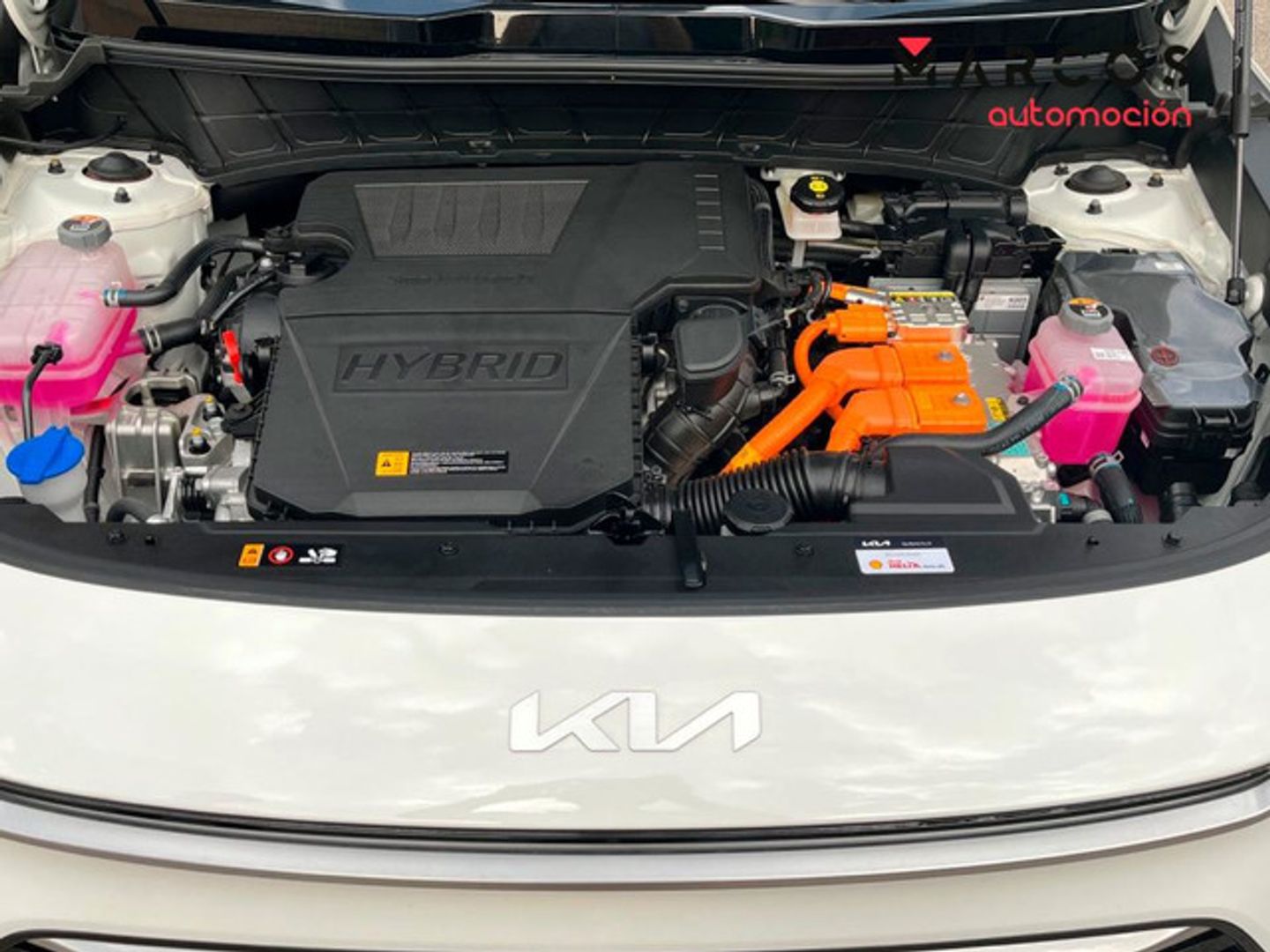Kia Niro 1.6 GDi HEV Híbrido