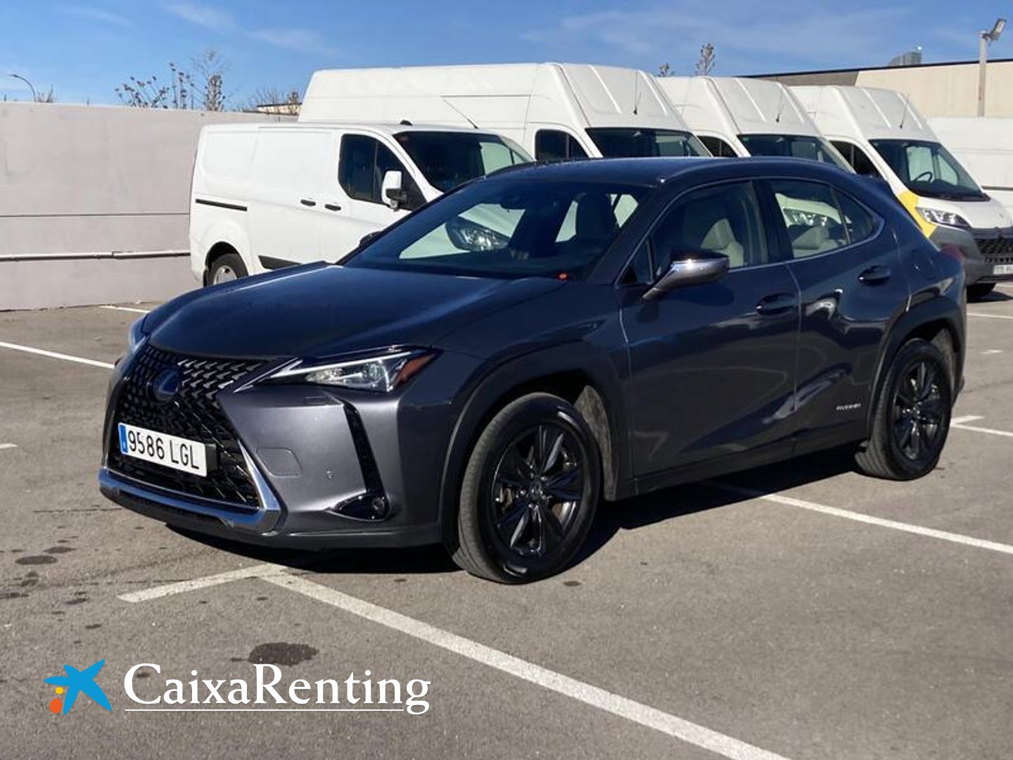 Lexus UX UX 250h Business Gris SUV