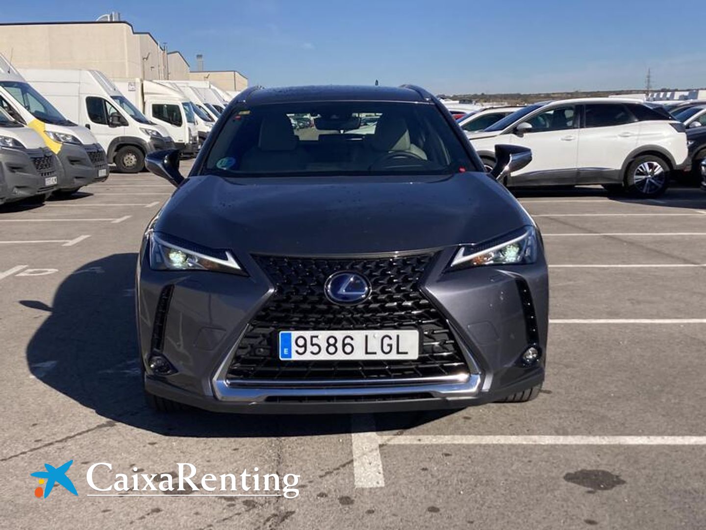 Lexus UX UX 250h Business