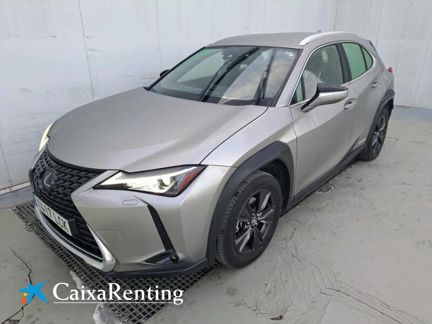 Lexus UX UX 250h Business Gris SUV