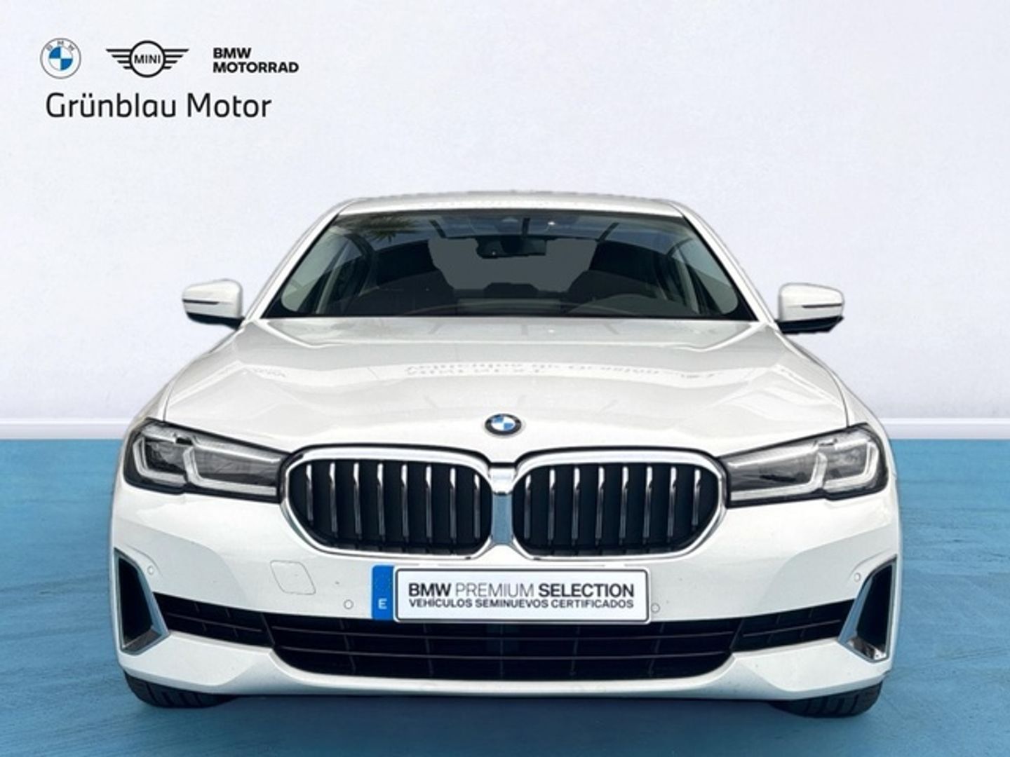 Bmw Serie 5 520d -
