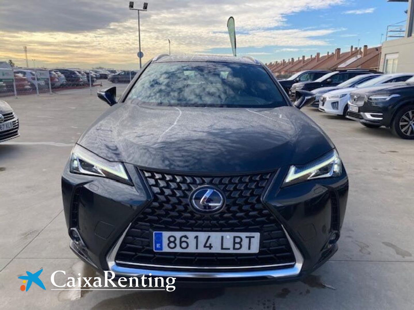 Lexus UX UX 250h