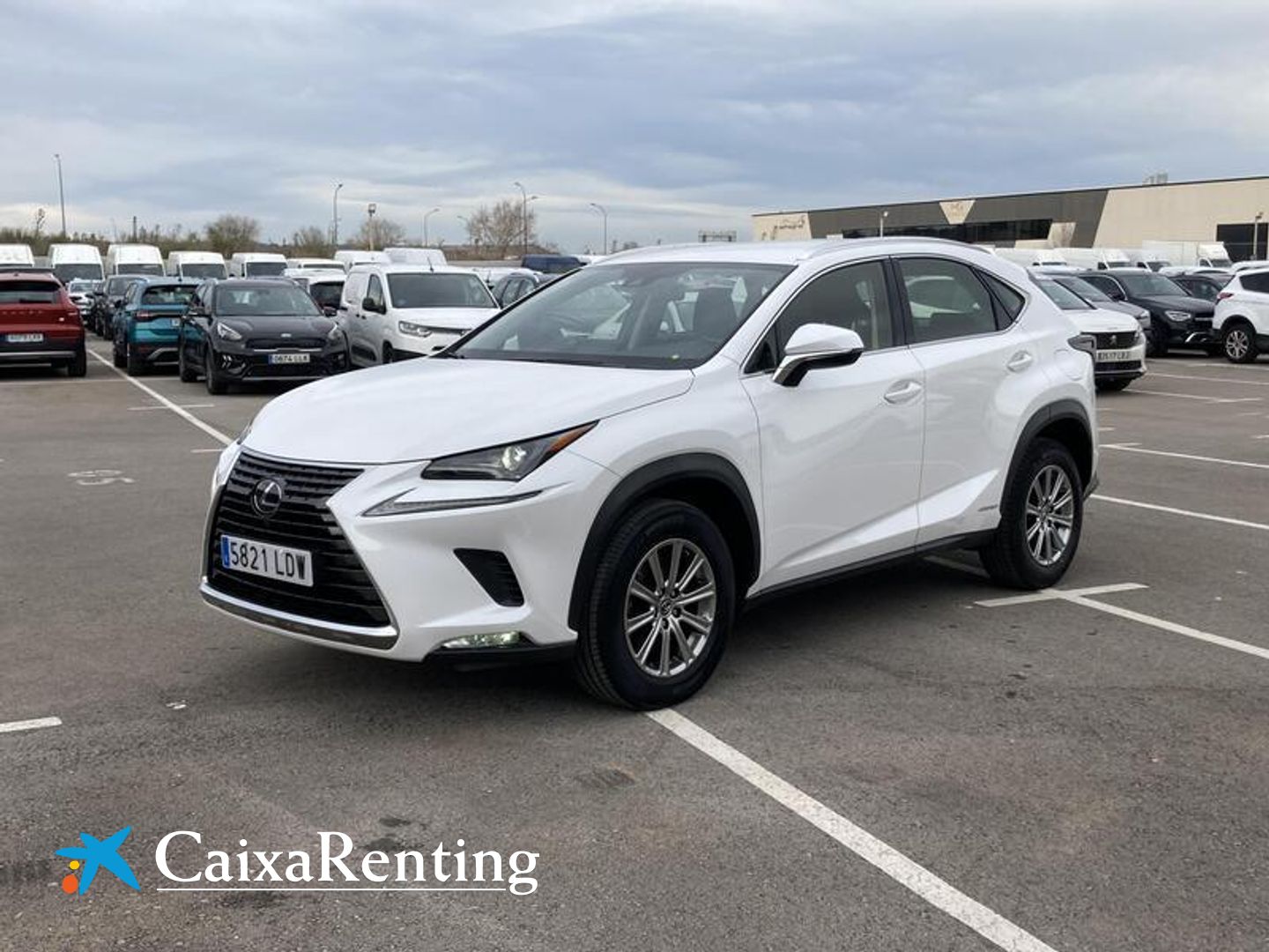 Lexus NX NX 300h Blanco SUV