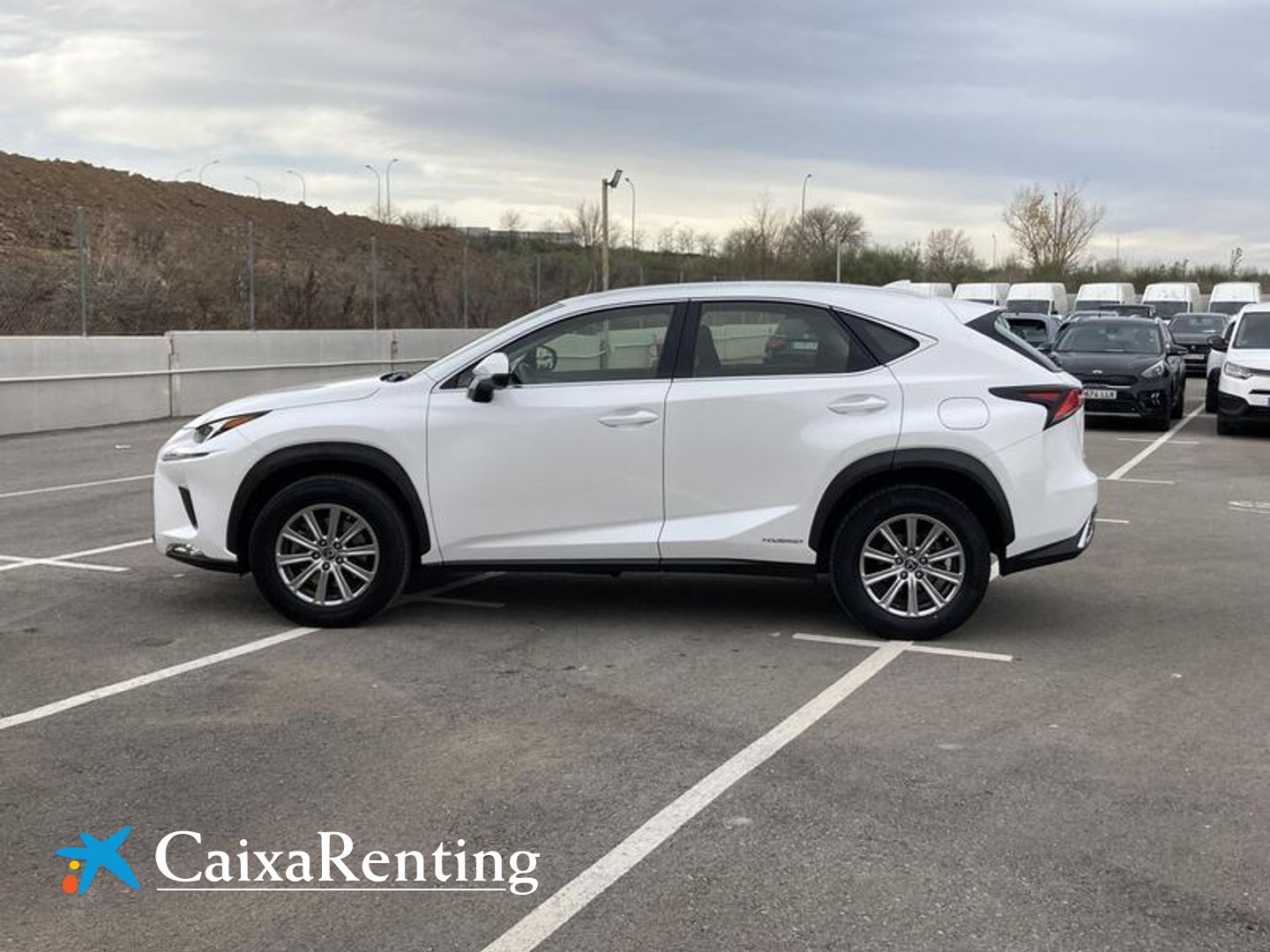 Lexus NX NX 300h