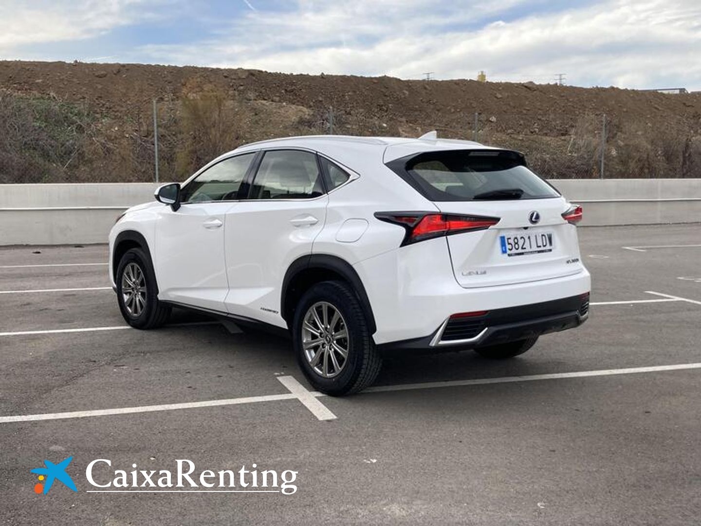 Lexus NX NX 300h