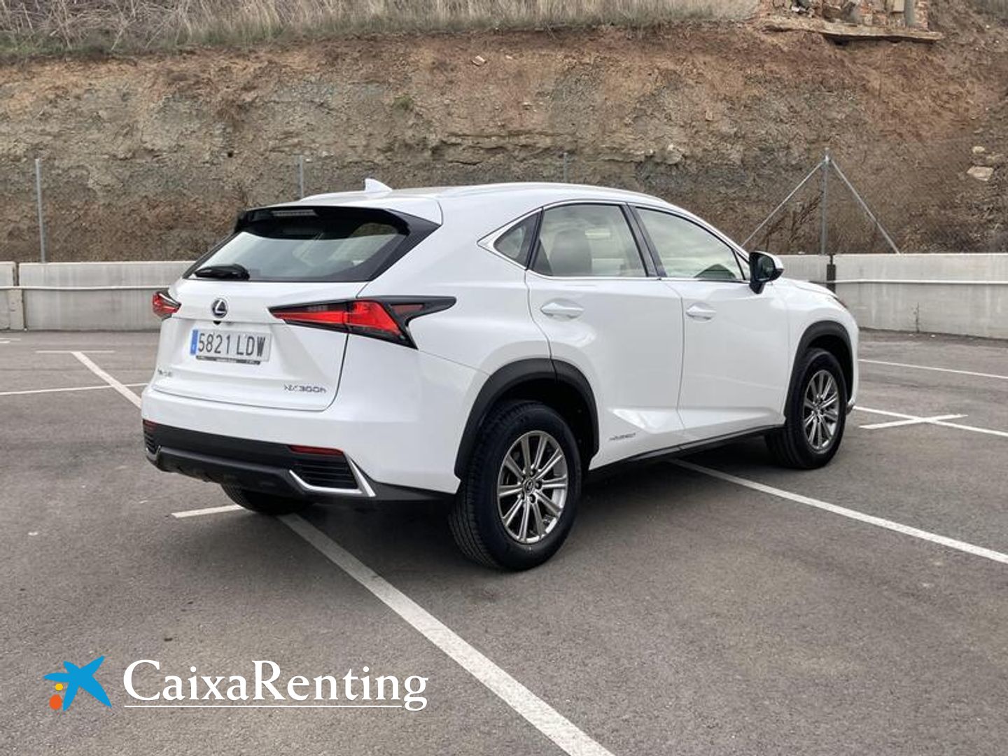 Lexus NX NX 300h