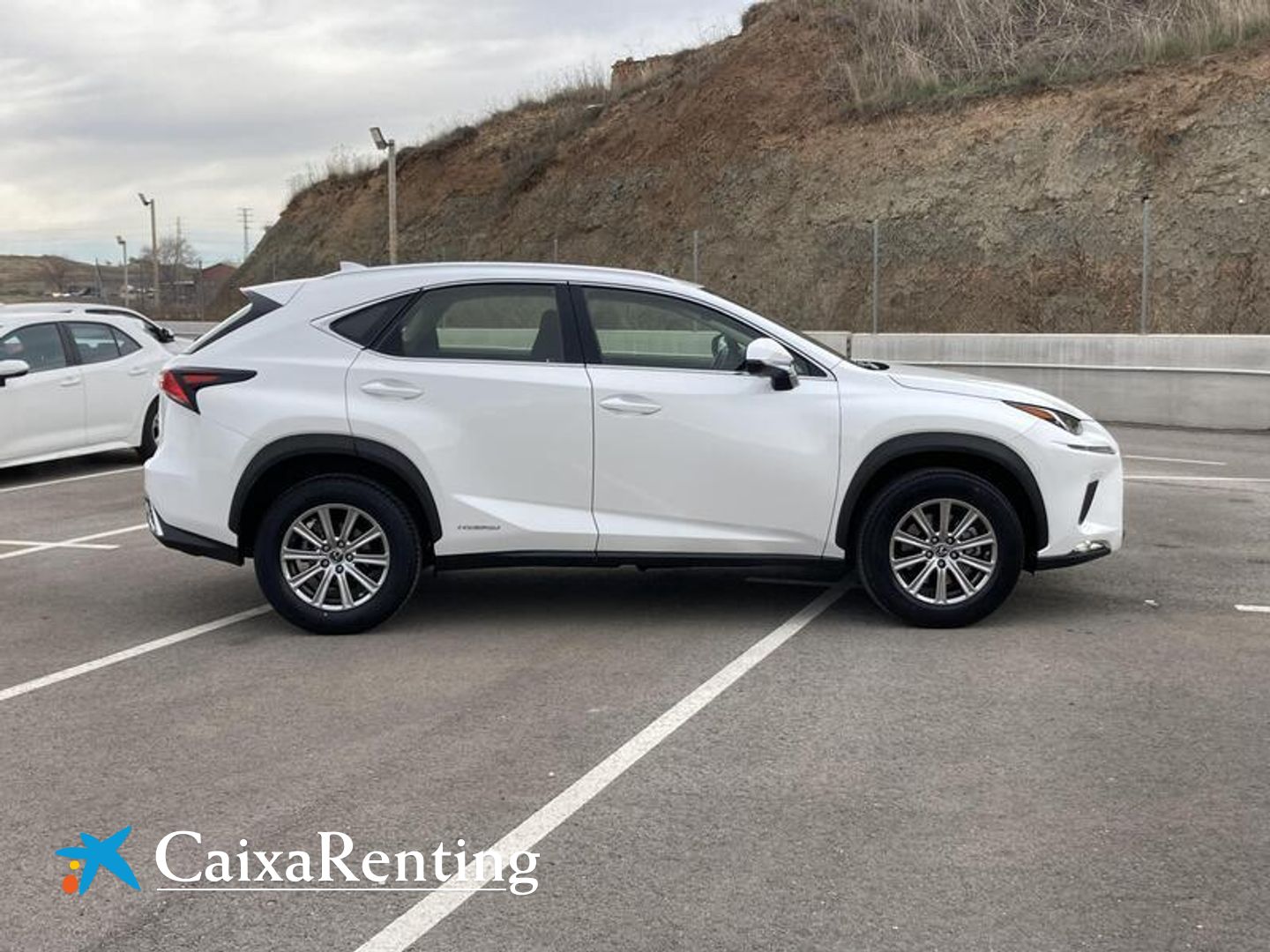 Lexus NX NX 300h