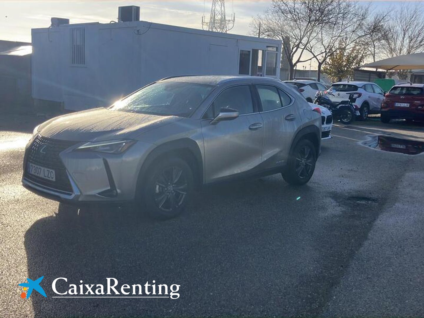 Lexus UX UX 250h Business Gris SUV