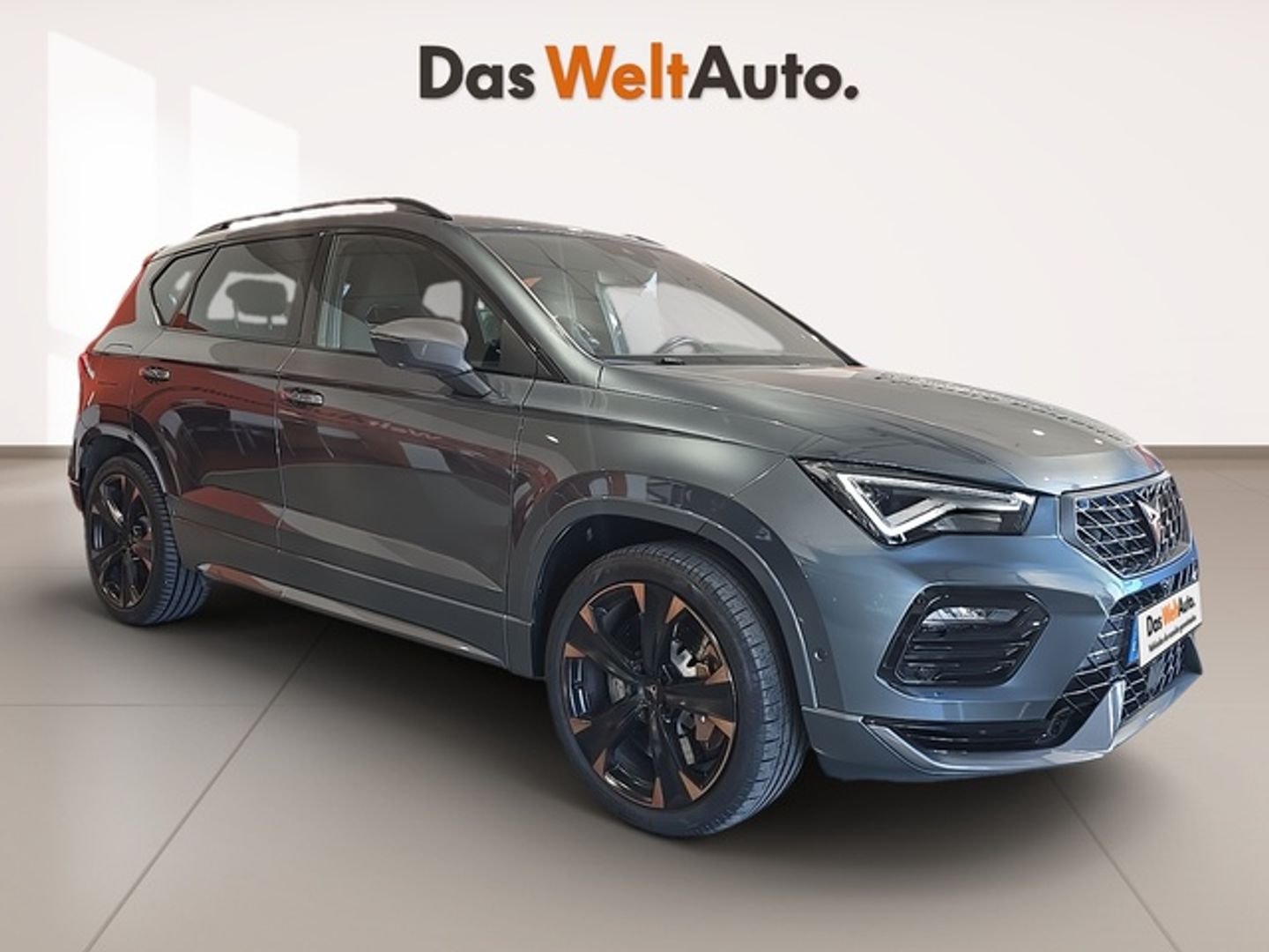 Cupra Ateca 2.0 TSI - Gris SUV