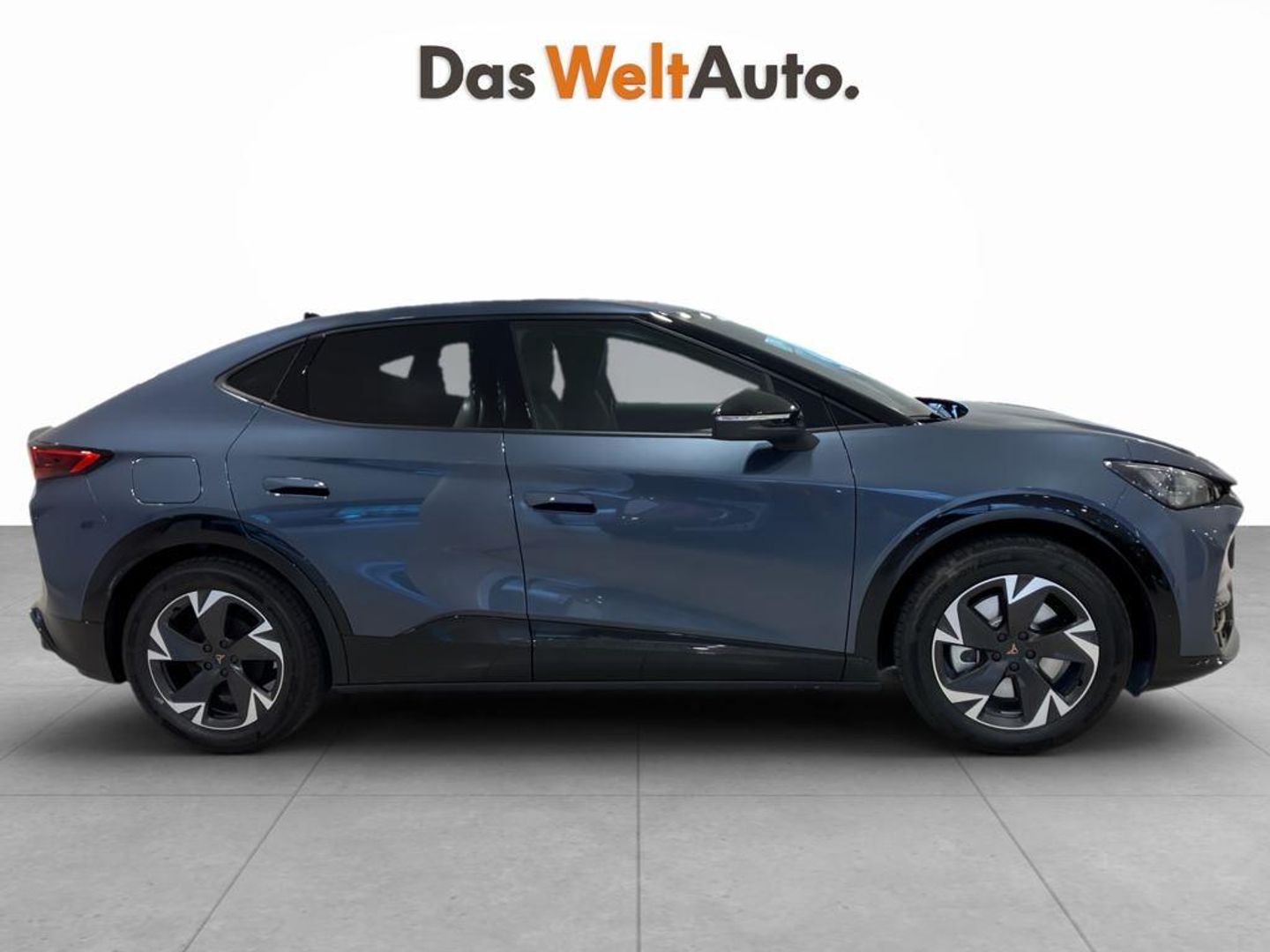 CUPRA Tavascan 77kWh Endurance First Edition 210 kW (286 CV)