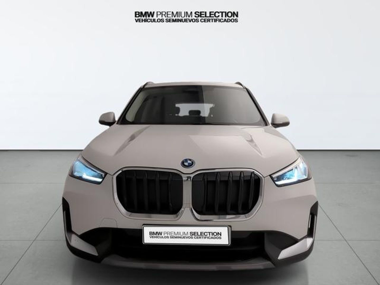 BMW X1 xDrive25e 180 kW (245 CV)