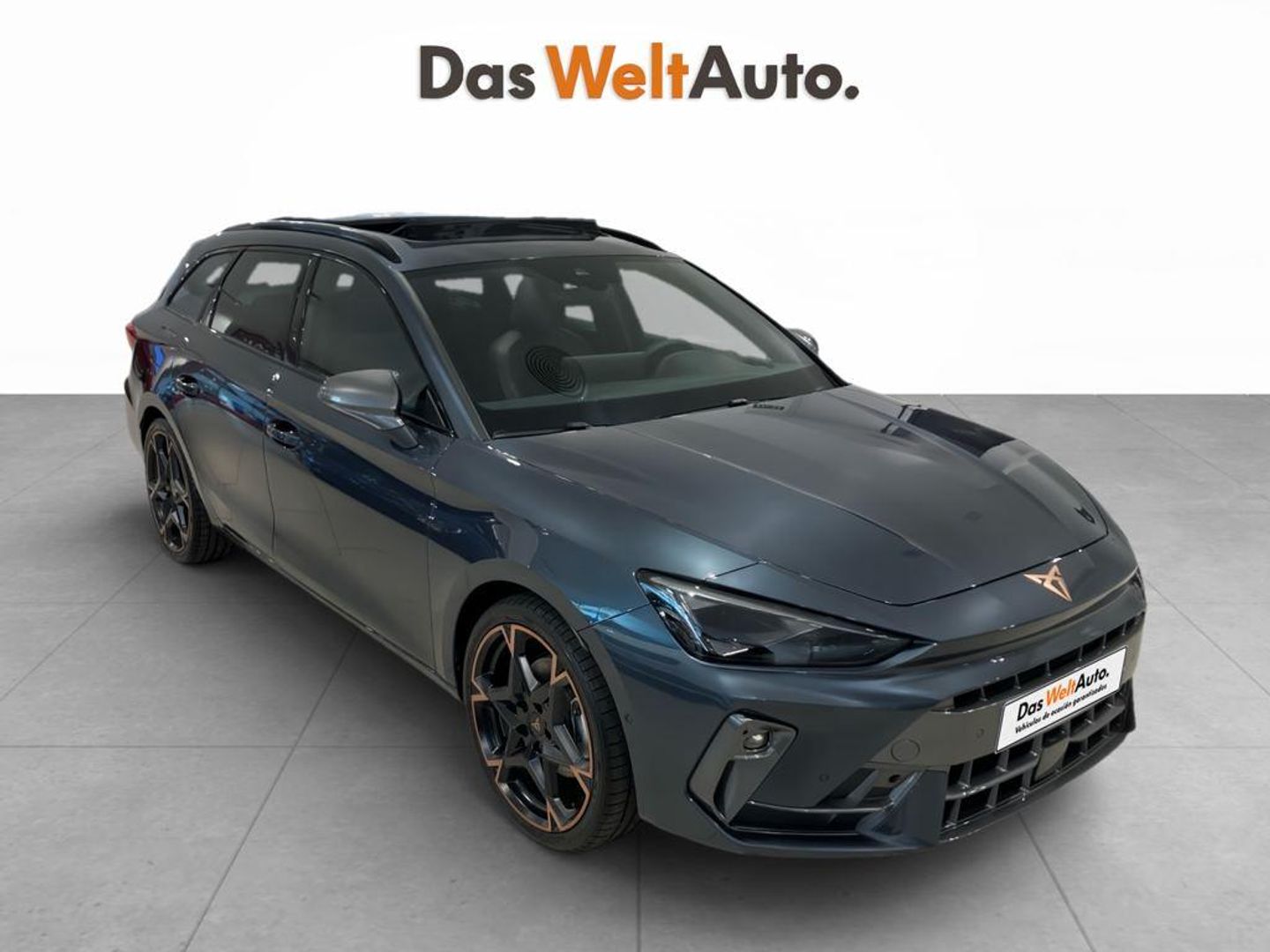 Cupra Leon Sportstourer 1.5 eTSI - Gris Familiar