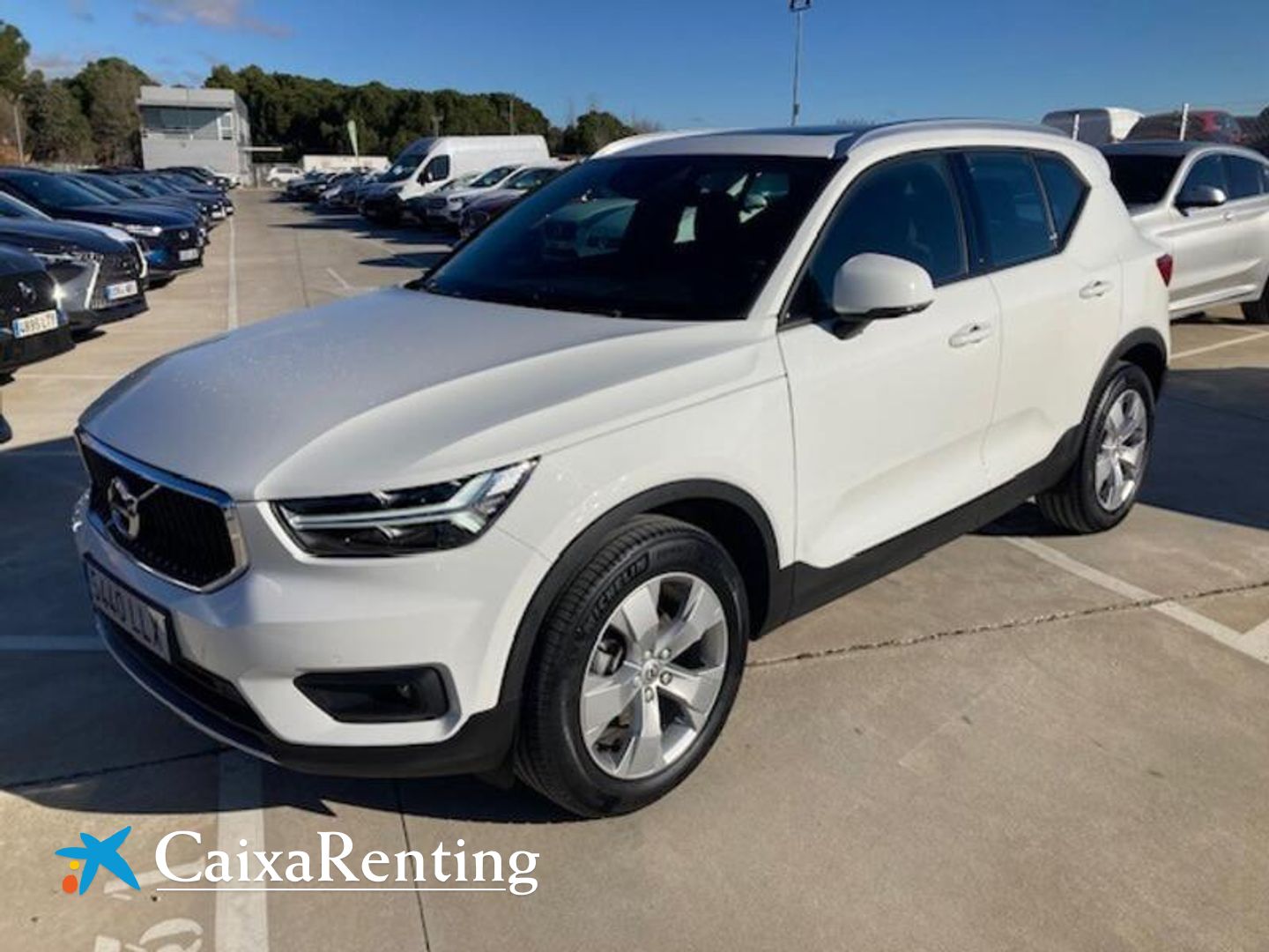 Volvo XC40 T3 Business Plus Blanco SUV