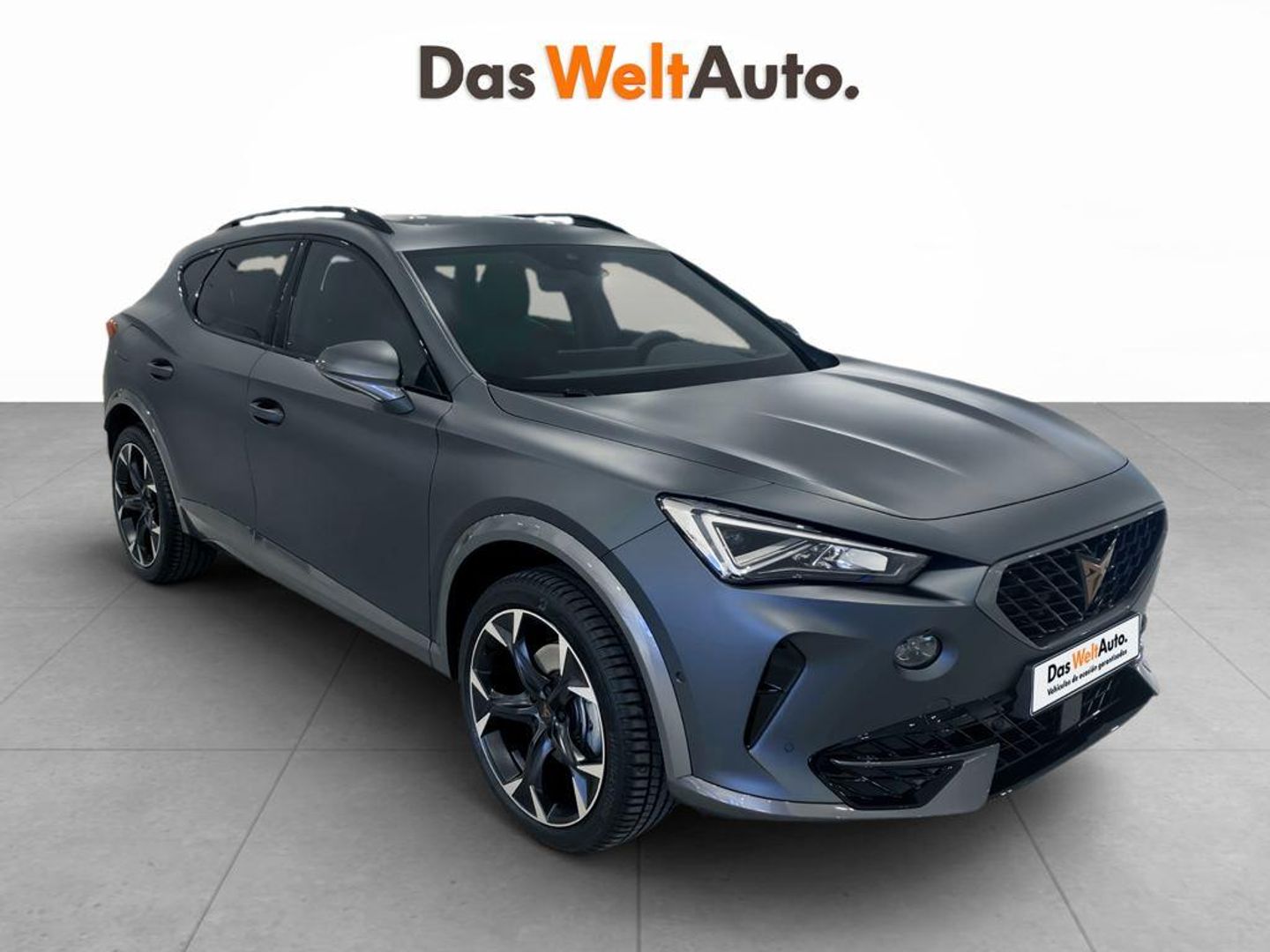 Cupra Formentor 1.5 TSI - Gris SUV