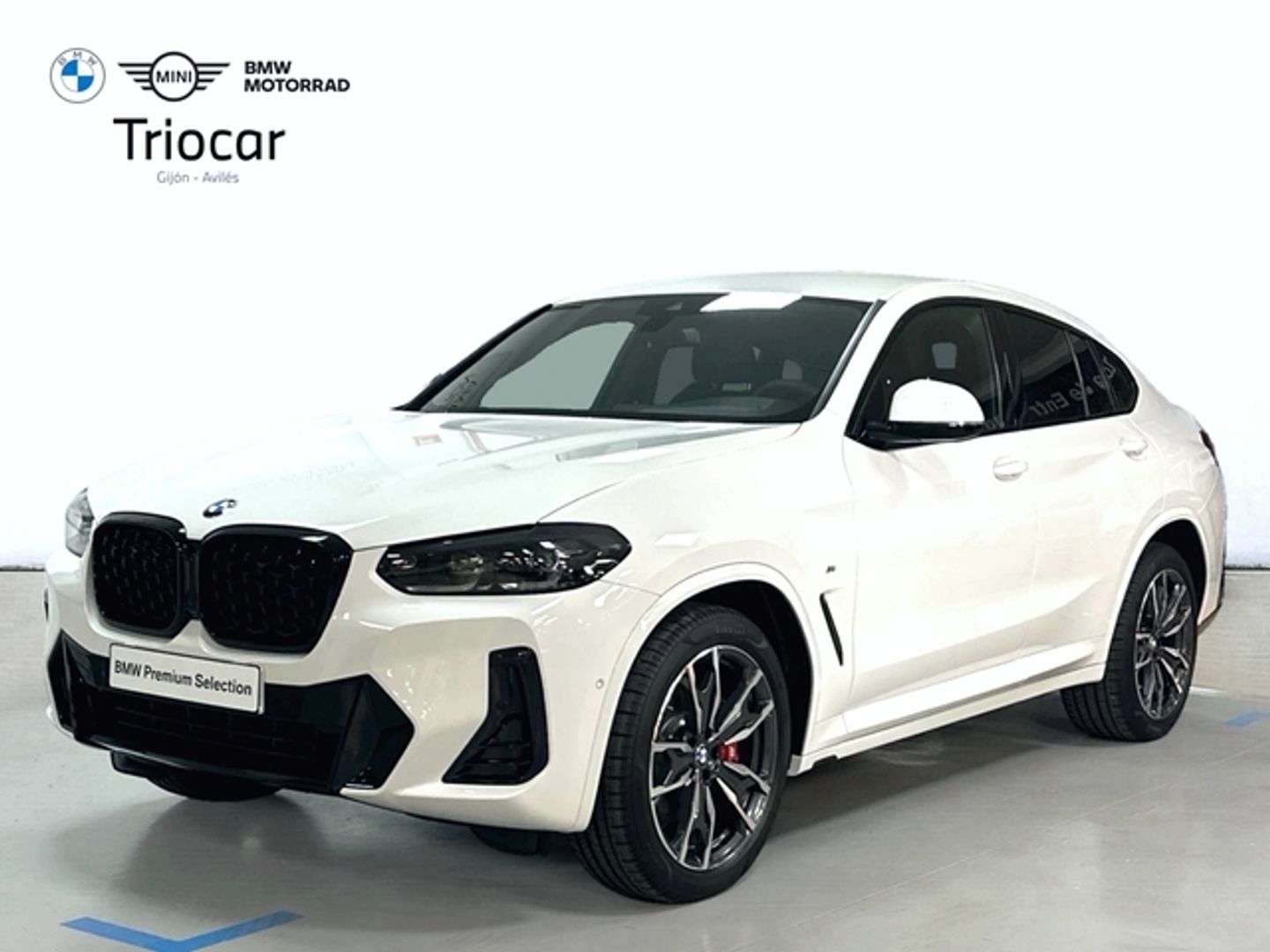 Bmw X4 xDrive20d xLine
