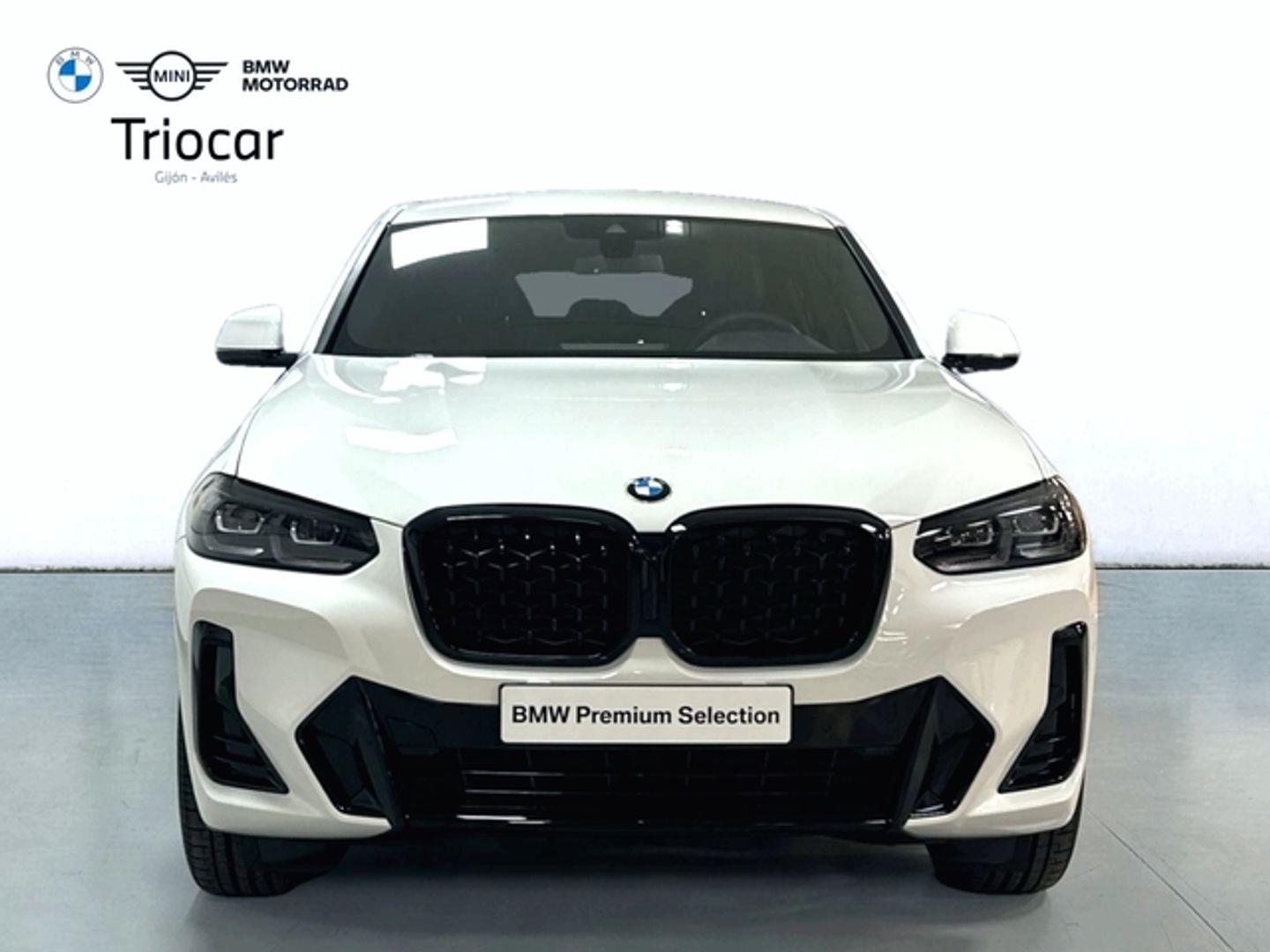 Bmw X4 xDrive20d xLine