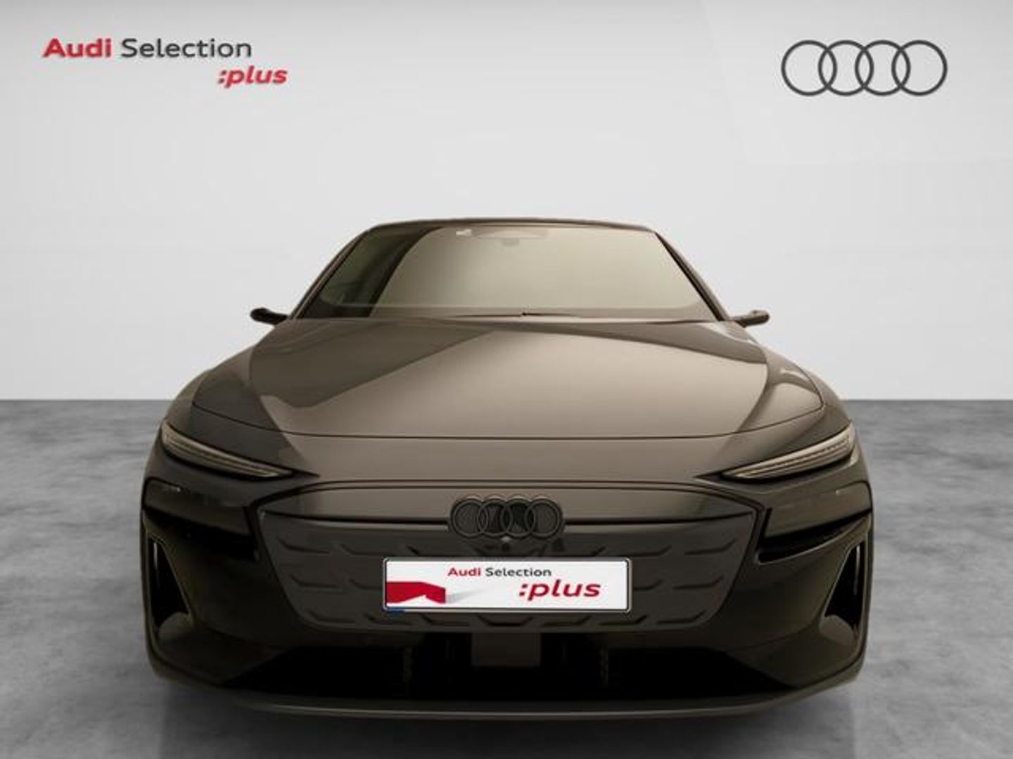 Audi A6 e-tron Perfomance Advanced e-tron 270 kW (367 CV) Gris Familiar