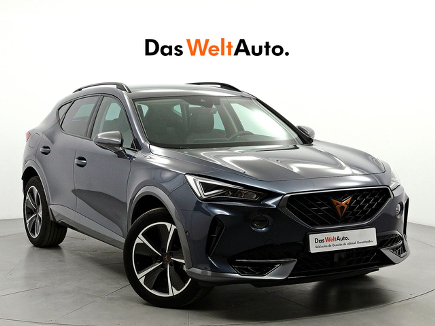 Cupra Formentor 2.0 TDI - Gris All Terrain / Pick-up