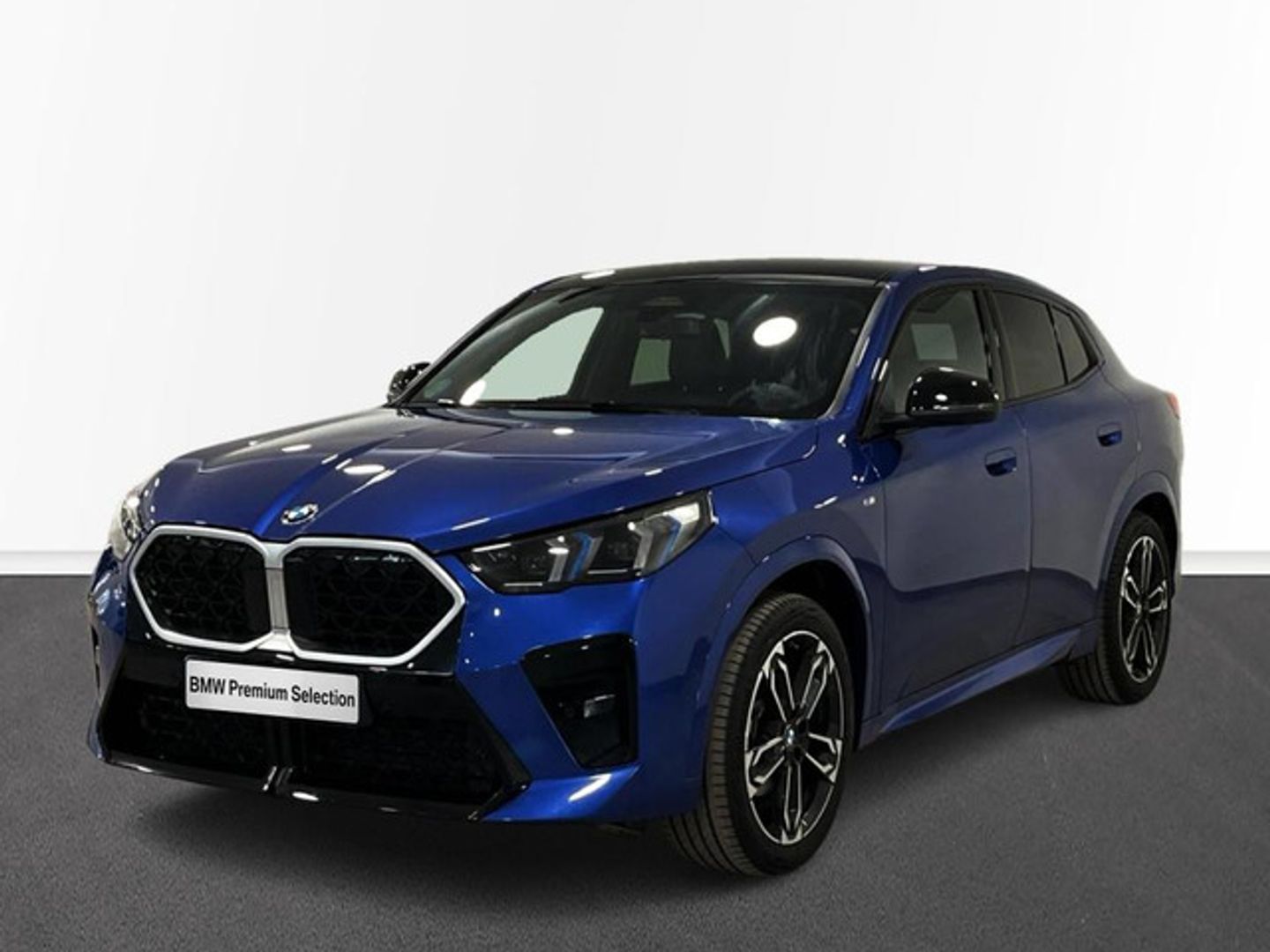 Bmw X2 xDrive20d -