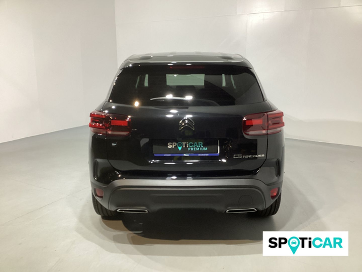 Citroen C5 Aircross BlueHDi 130 S&S Plus EAT8 96 kW (131 CV)