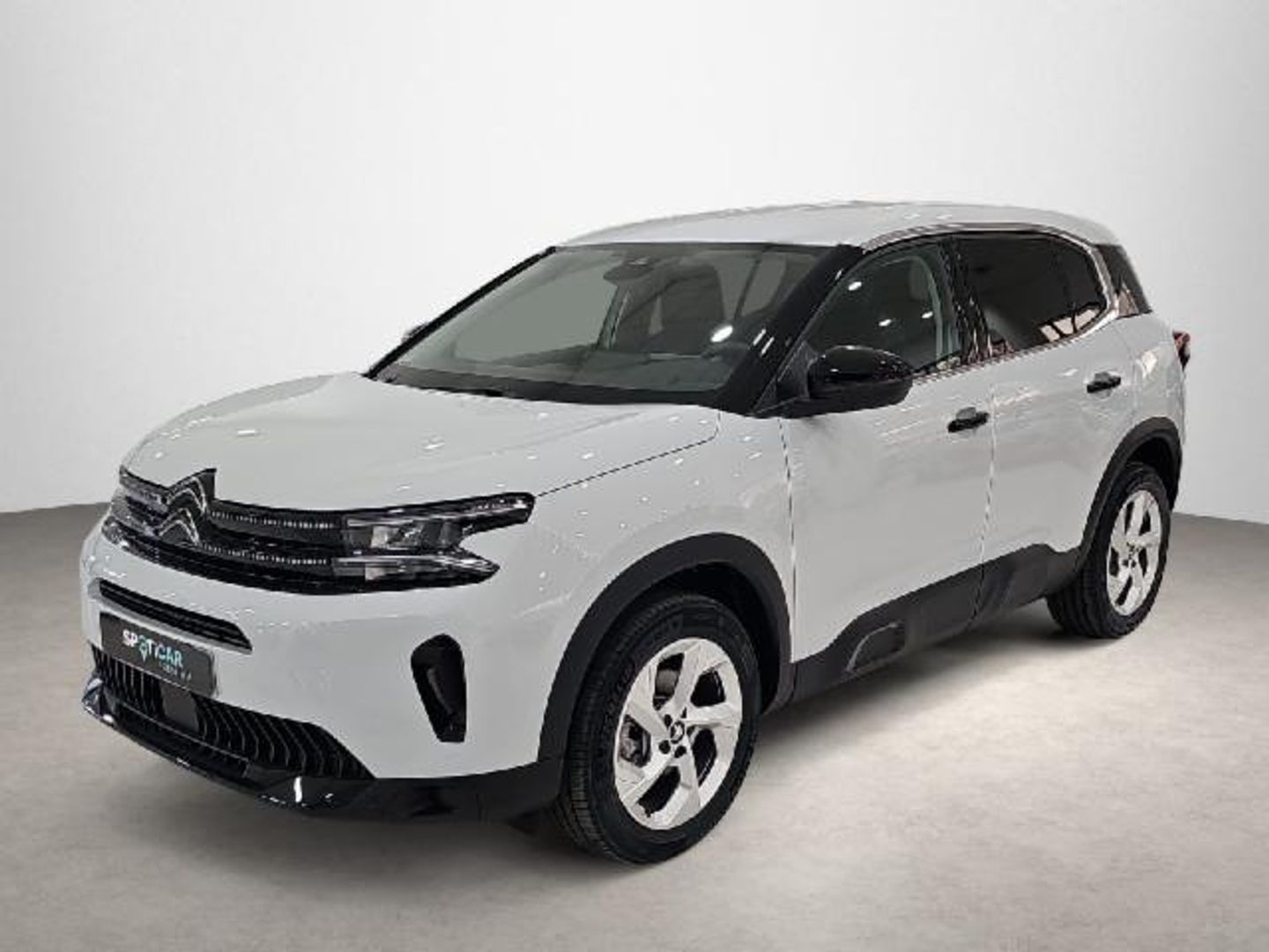 Citroen C5 Aircross Hybrid Plus e-DCS6 100 kW (136 CV)