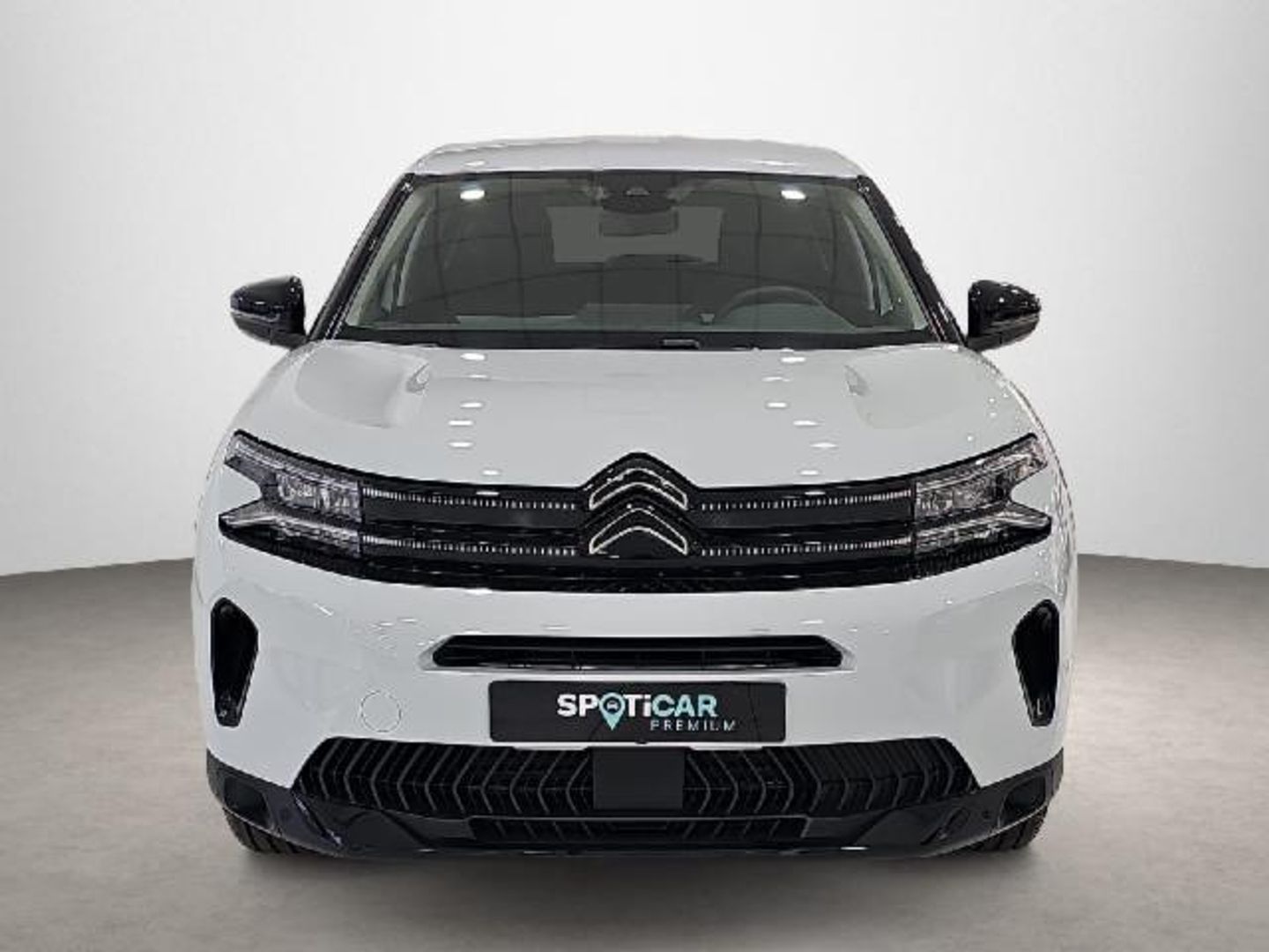 Citroen C5 Aircross Hybrid Plus e-DCS6 100 kW (136 CV)