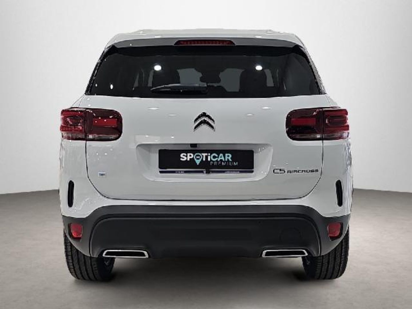 Citroen C5 Aircross Hybrid Plus e-DCS6 100 kW (136 CV)