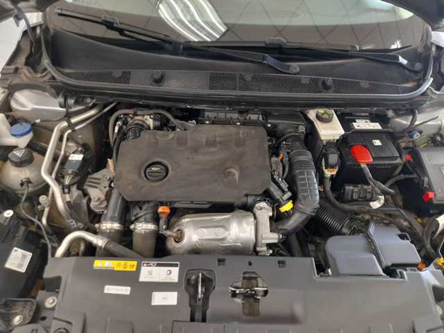 Peugeot 308 Active Pack BlueHDi S&S 75 kW (100 CV)